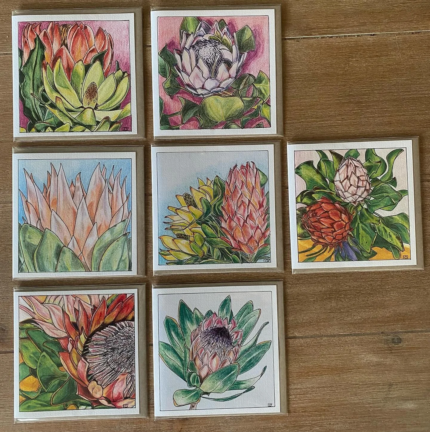 7 protea card designs so far. Working towards a set of 12. Original work is colour pencil and ink. They have printed up beautifully into gift cards. 
.
#loreleiammonartist#useableart#giftcards#proteas#botanicalcards#botanicaldrawings#cardsforsale