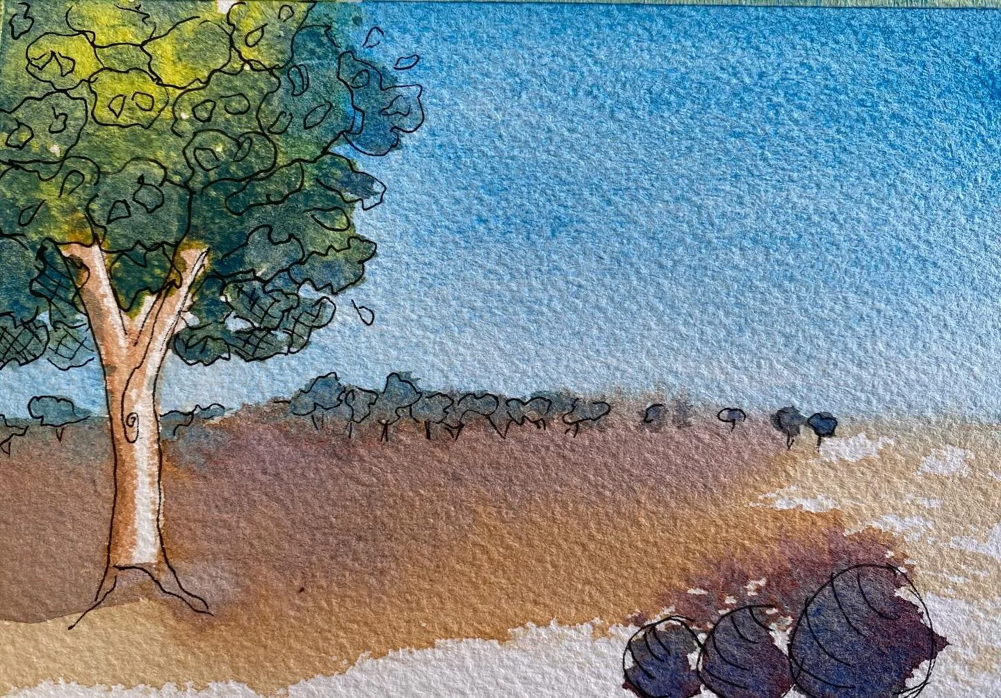 Watercolour and ink landscape 
.
#loreleiammonartist #watercolour#watercolourpainting #artclass#cancercouncilwa #cancersupport