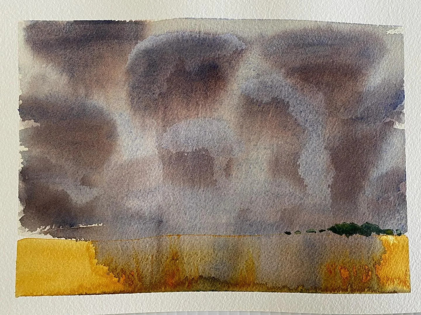 Watercolour fun. 
Last day of the watercolour painting classes that I have been enjoying recently at #dotsplace #cancercouncilwa as I am recovering from a year full of cancer treatments. Learning something new with a group of people who have also liv