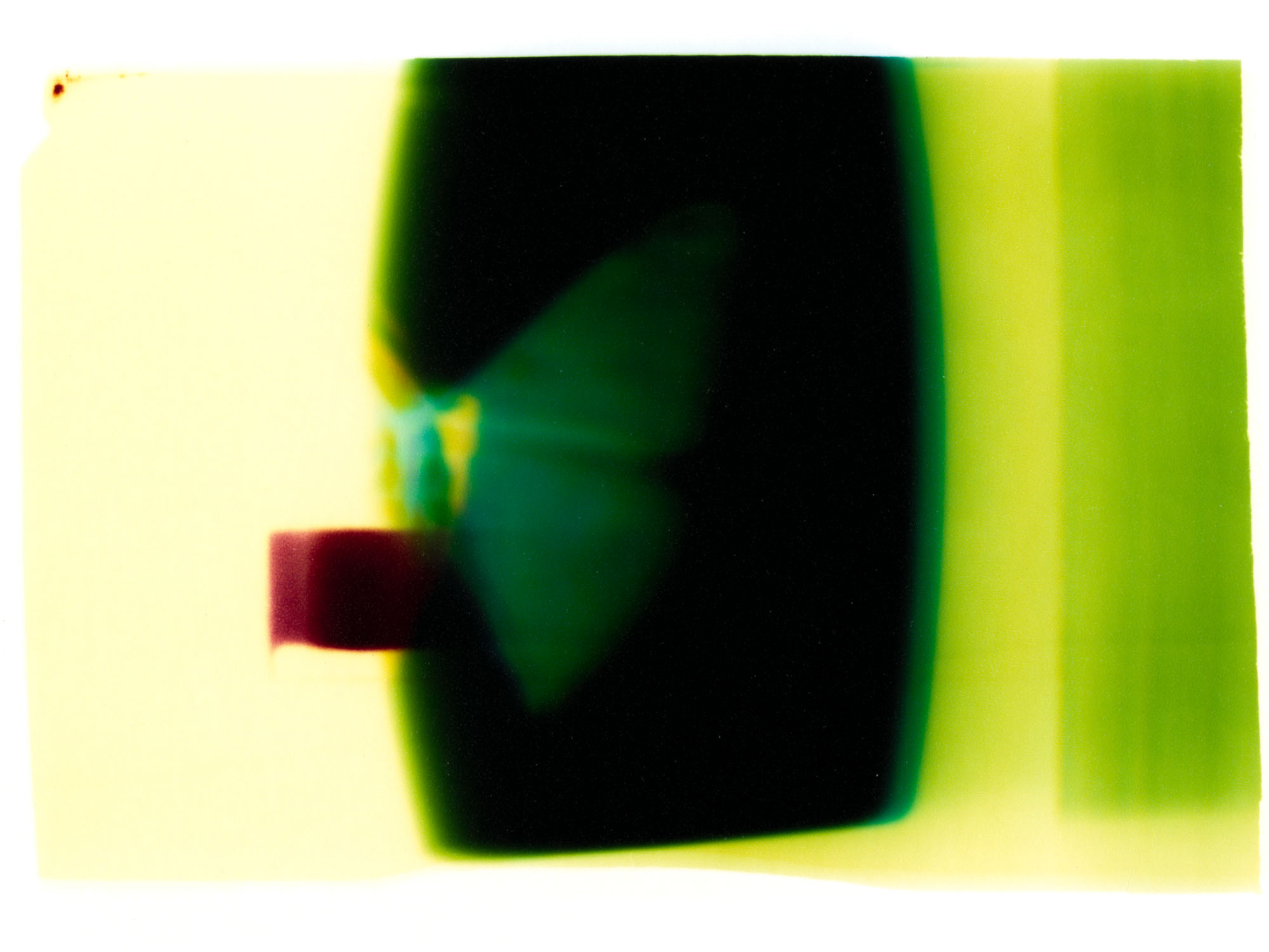 JakeSneath_Untitled(Butterfly)[Green]_ChromogenicPhotogram_20%22x30%22_2016.jpg.jpg