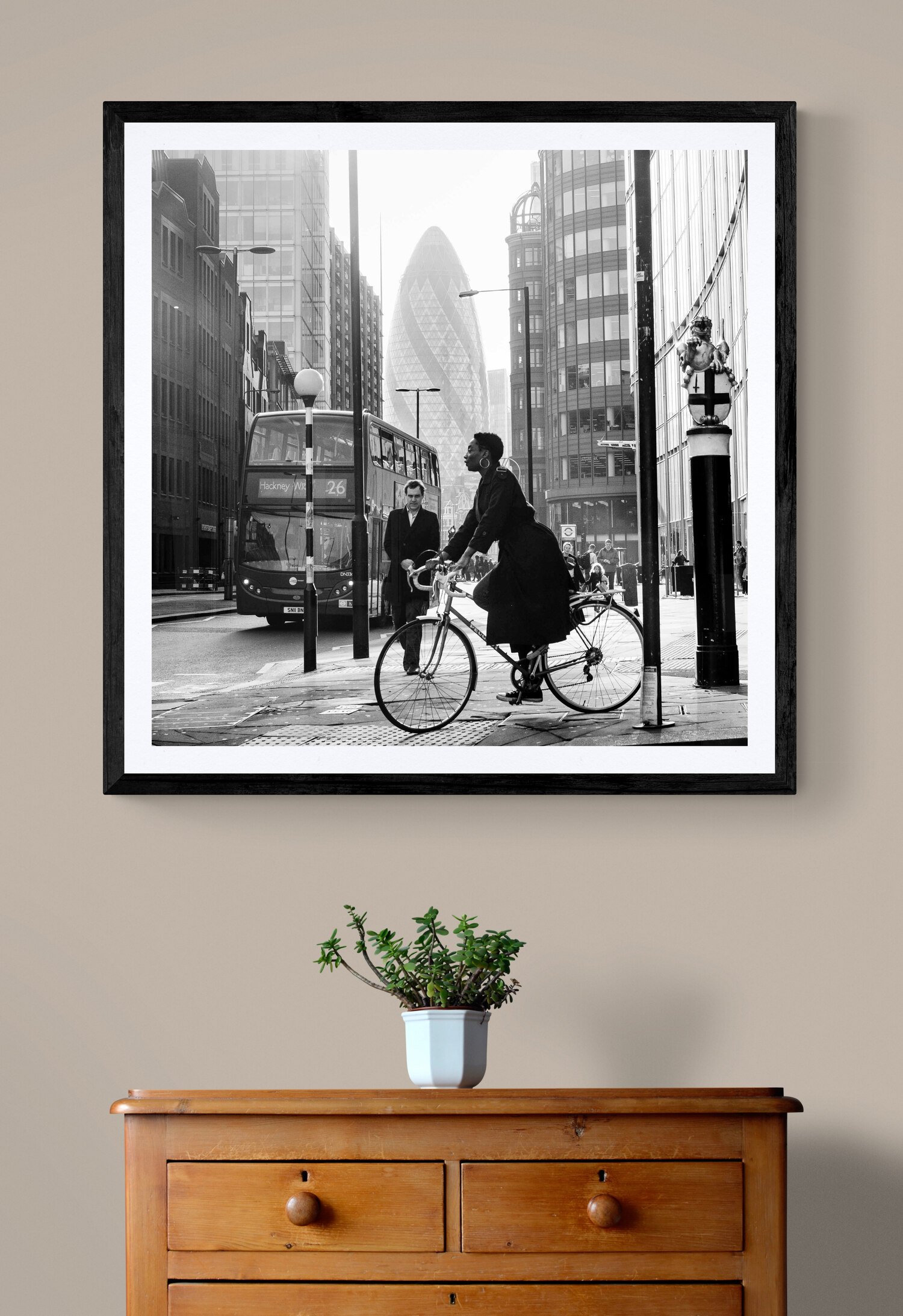 plant-on-wooden-drawers.jpg