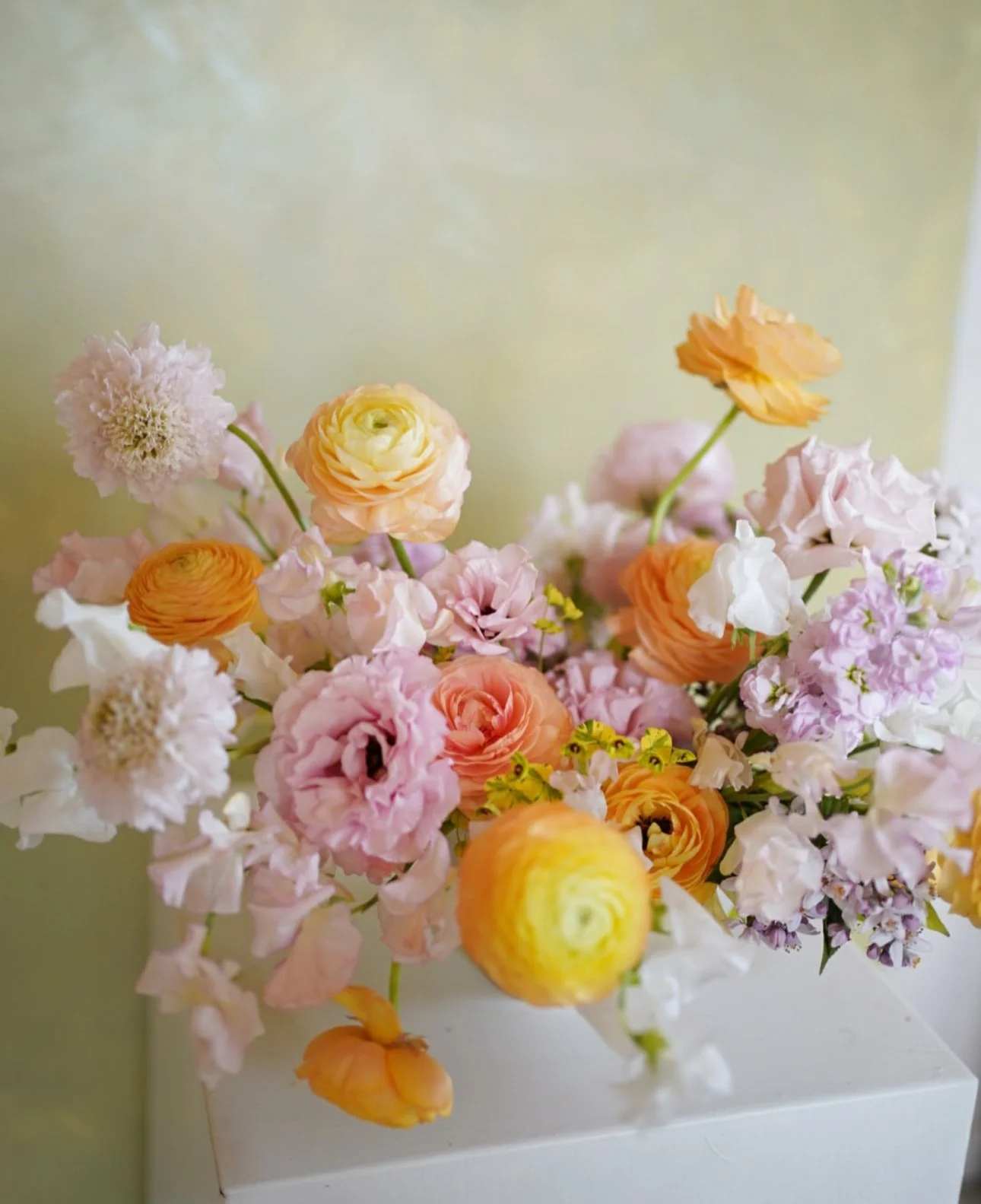 Capture d’écran . 2025-10-24 à 11.26.08.jpeg