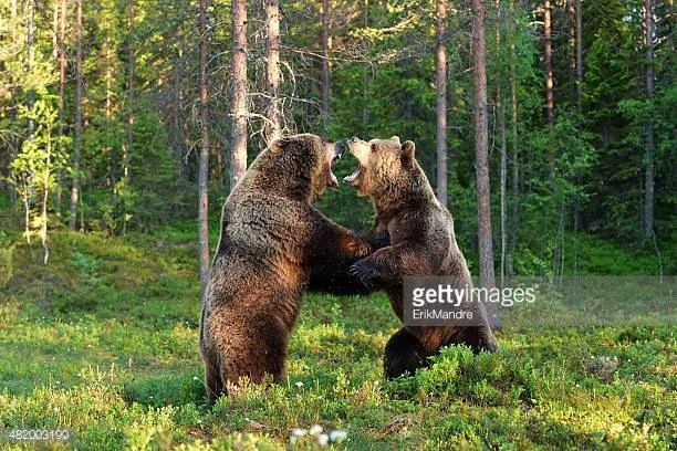 On Food and Politics