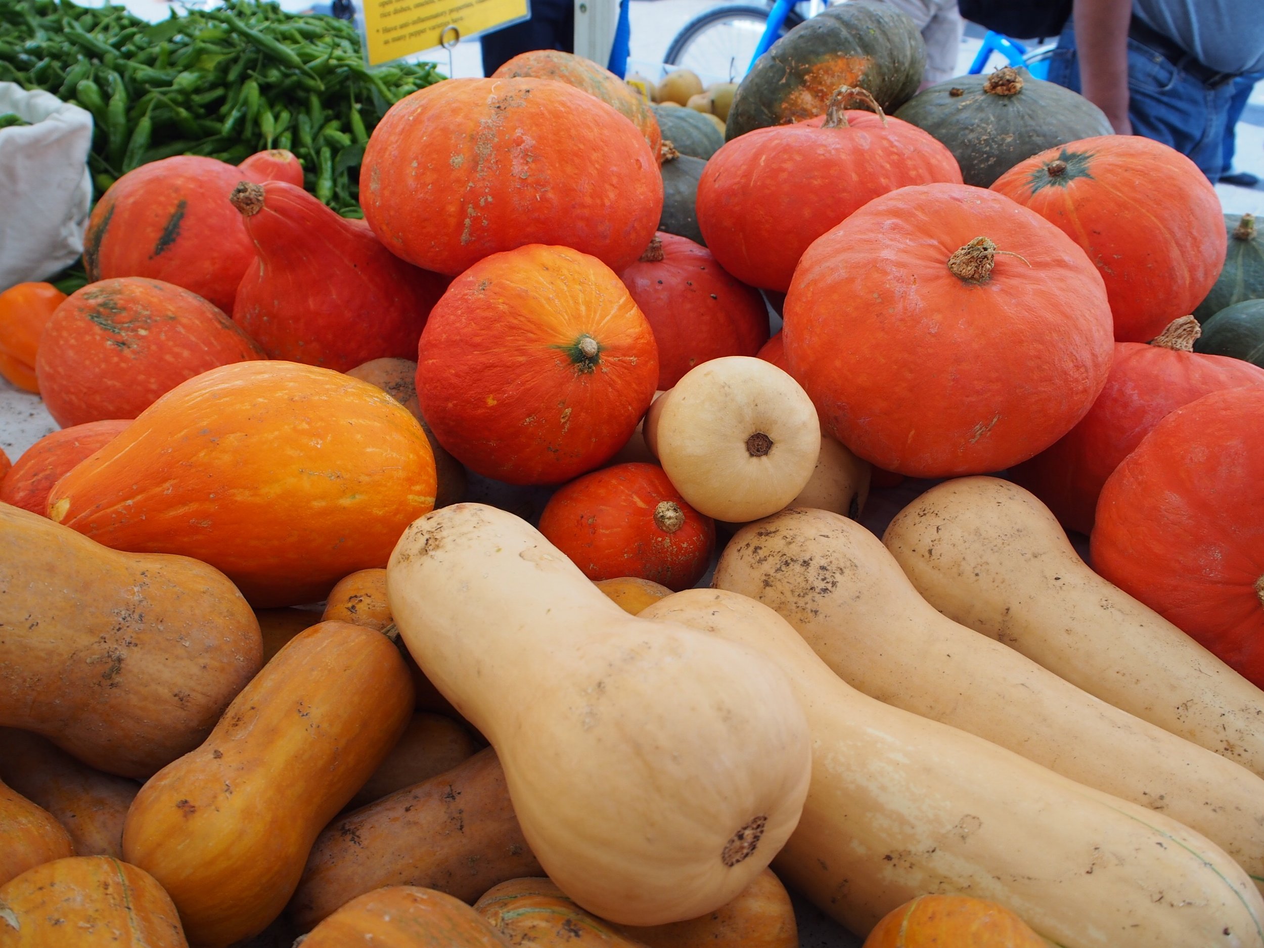 Acorn (front) and Red Kuri squash (behind)