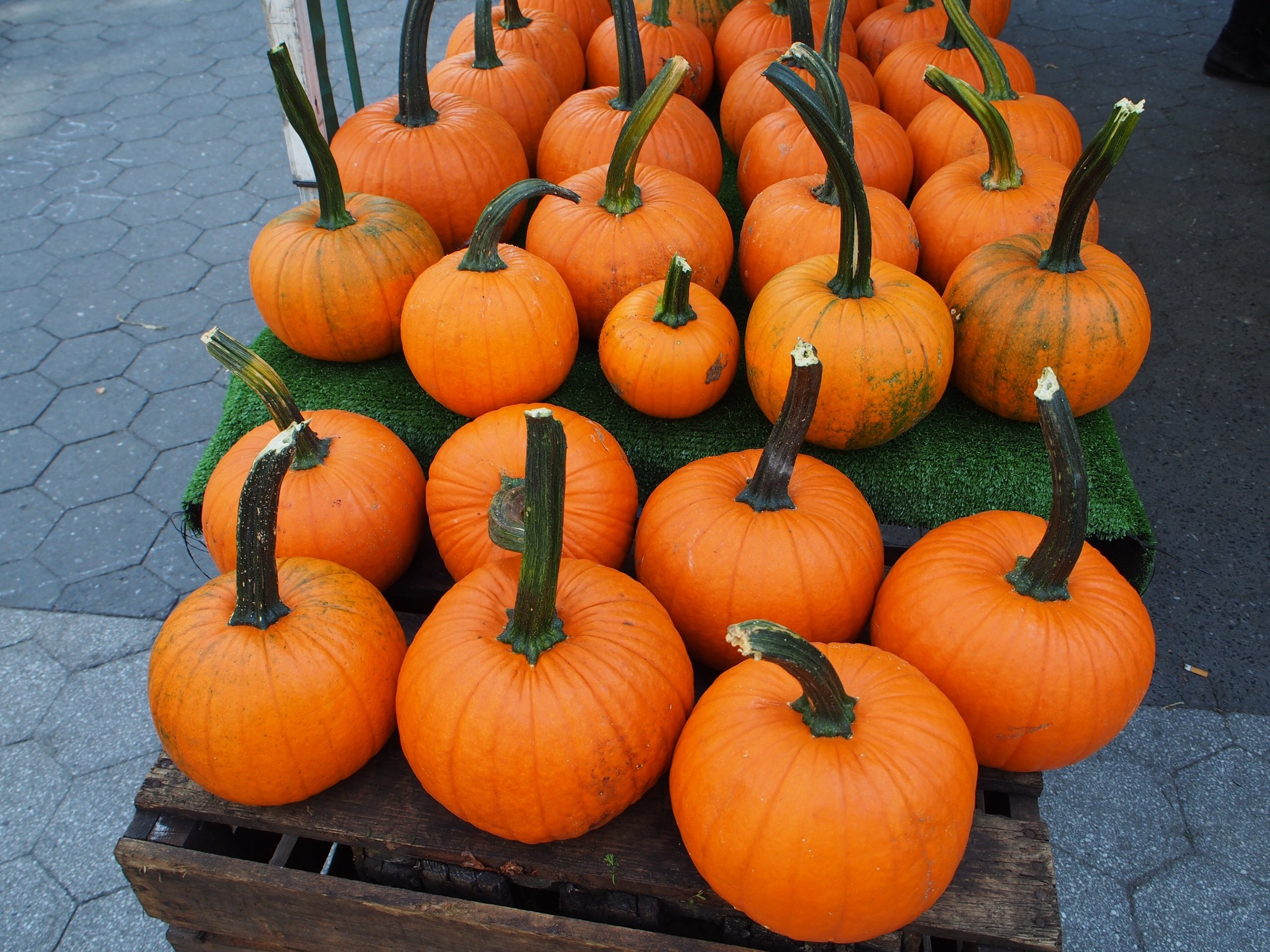 Fall is here!