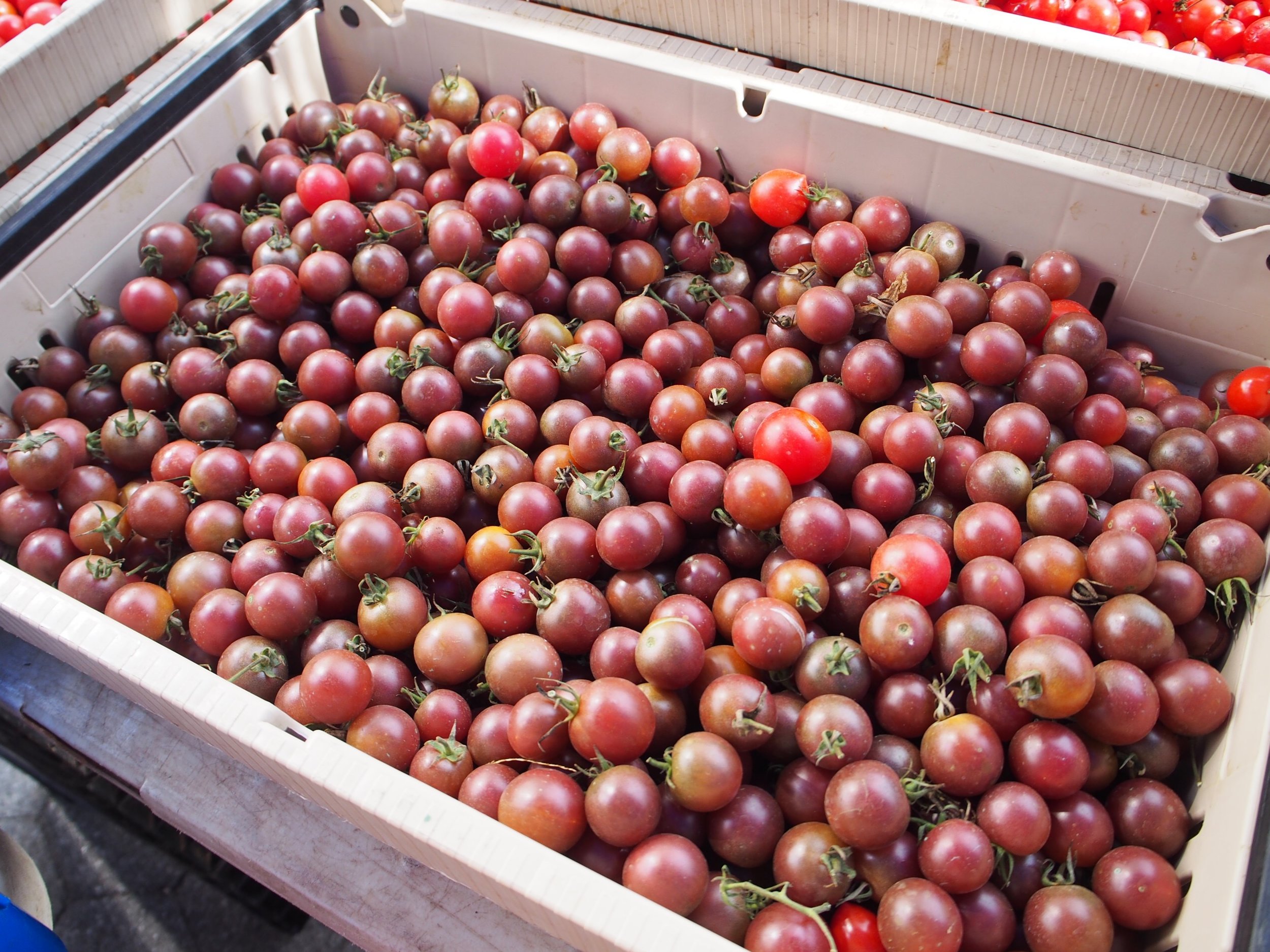 Perfect cherry tomatoes
