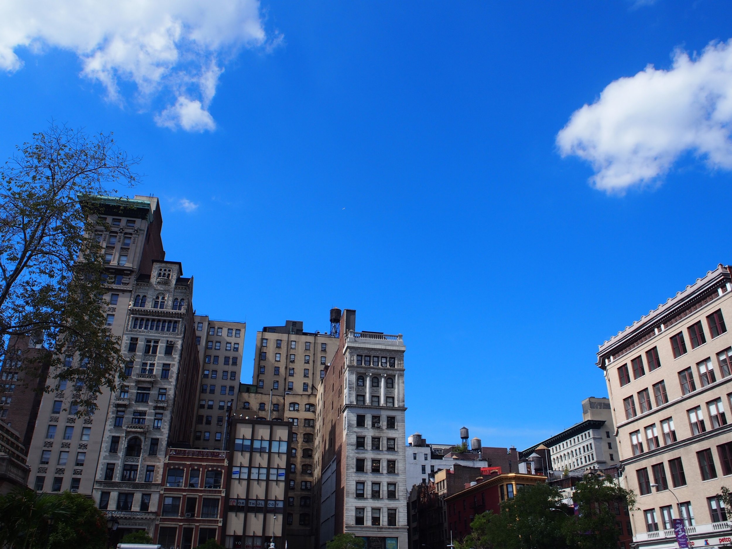 Union Square 