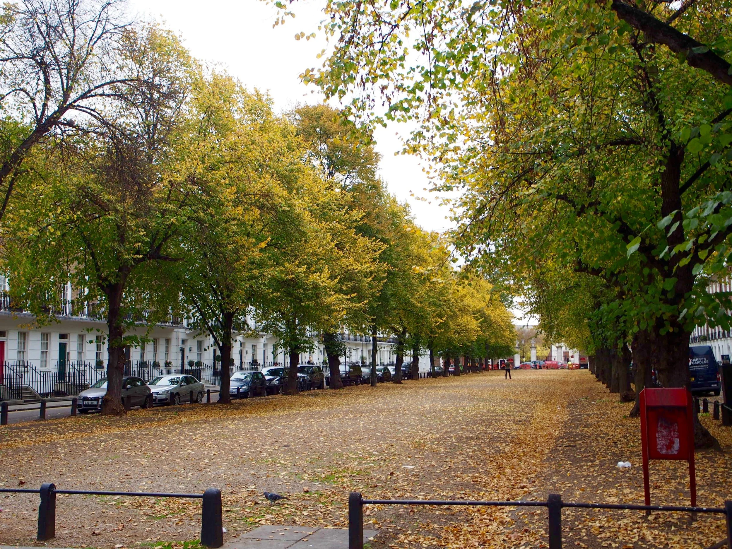 Beautiful square