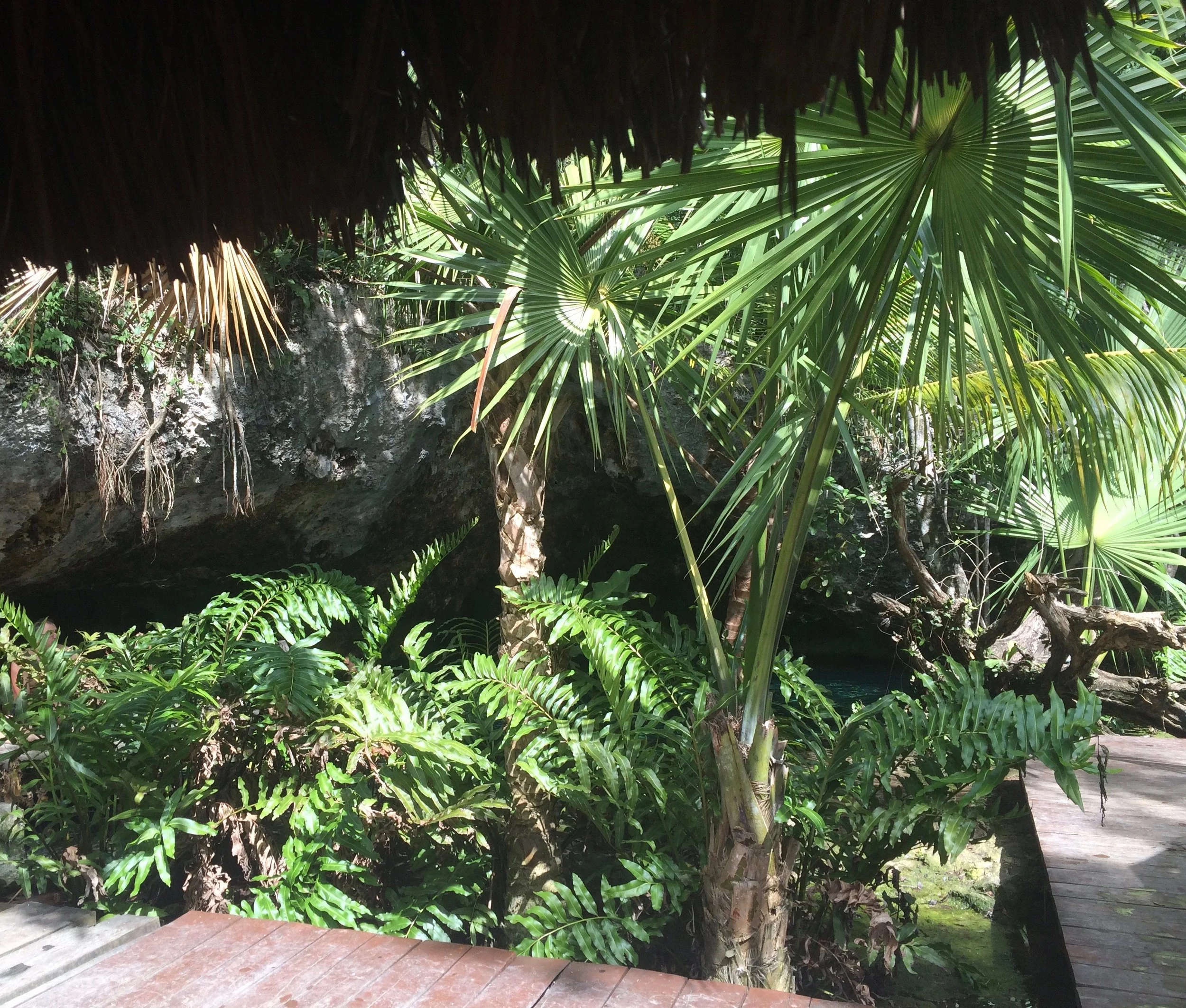 Gran Cenote