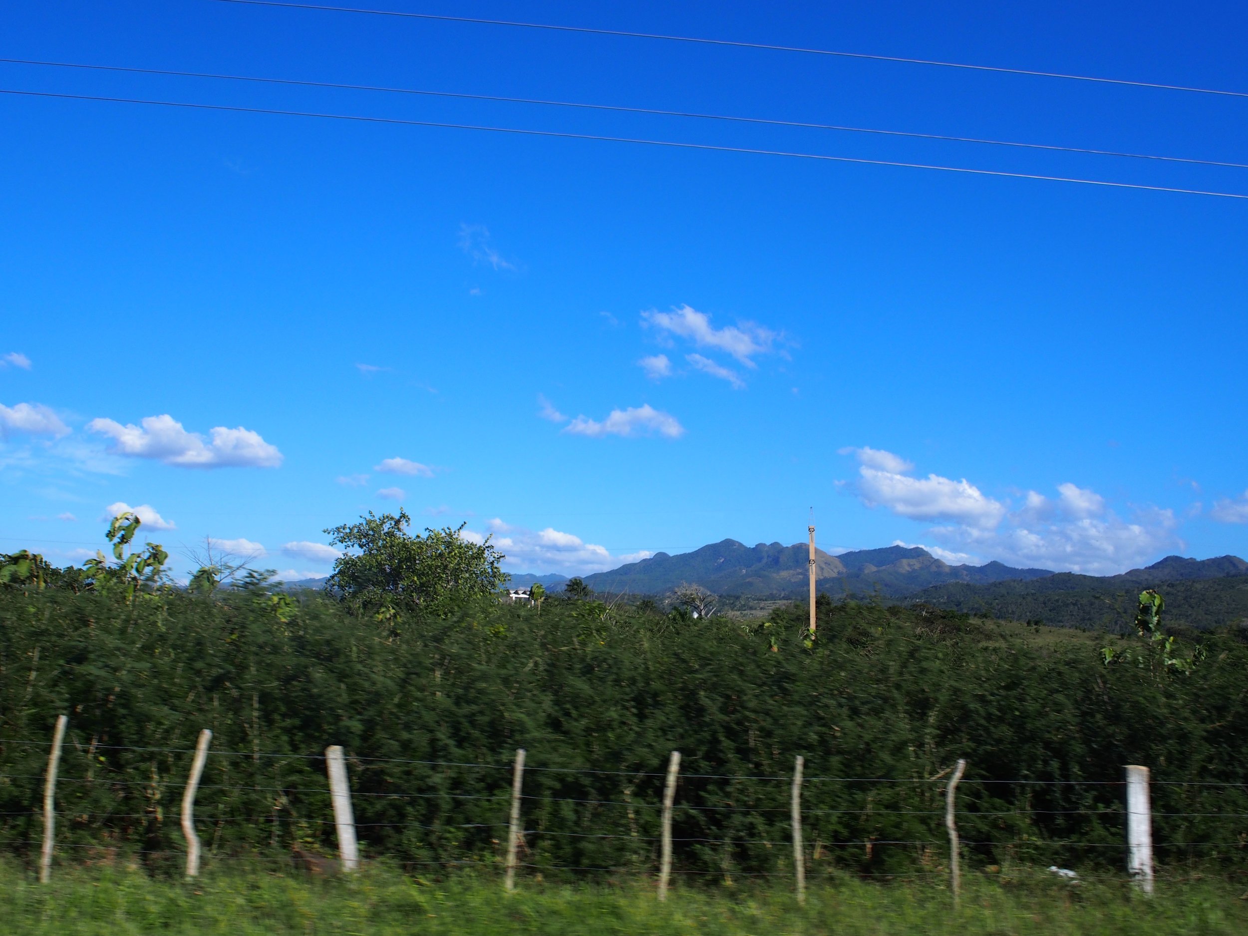 Lushly green countryside
