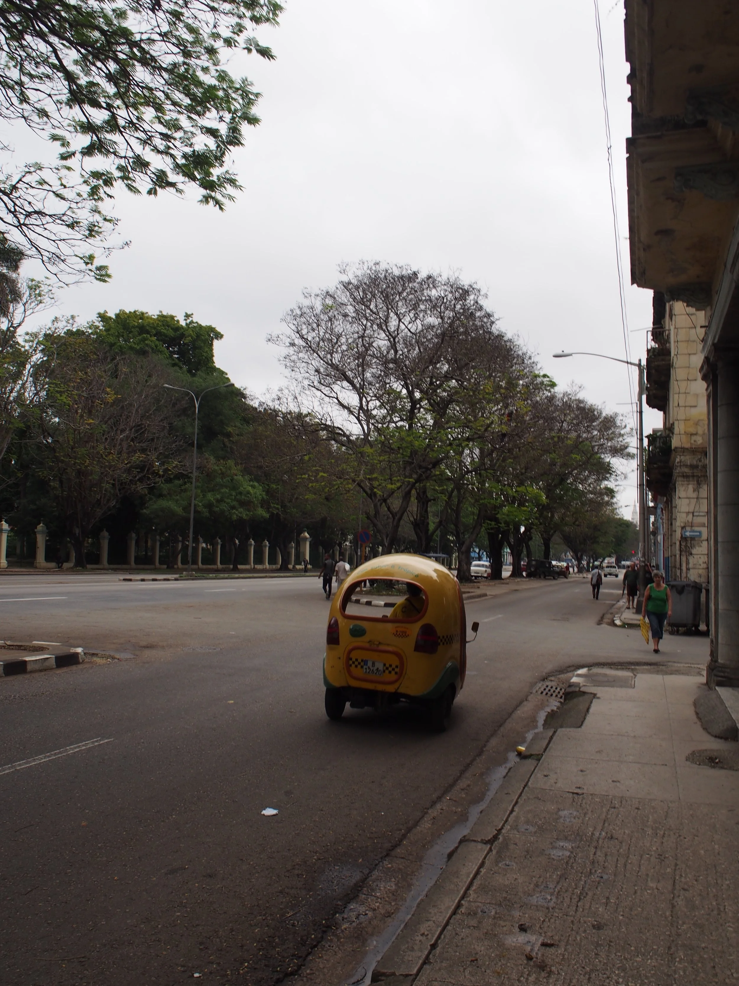 Called a 'Coco Taxi', this took us back to our casa from Habana Vieja