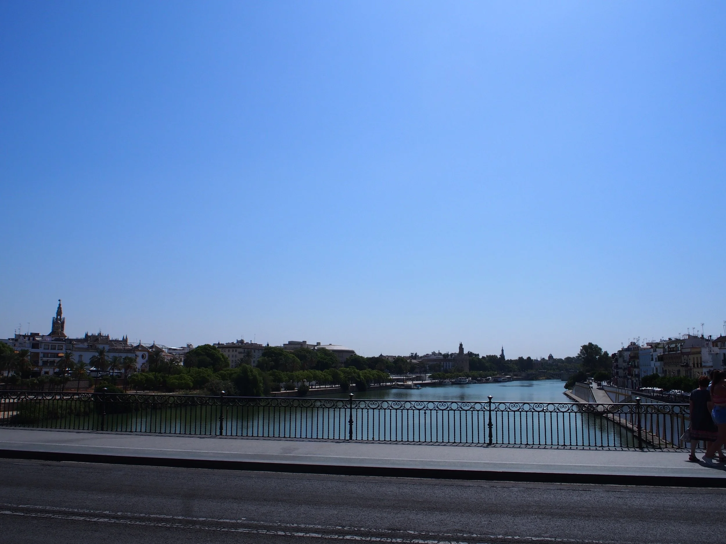 P9010132.jpg