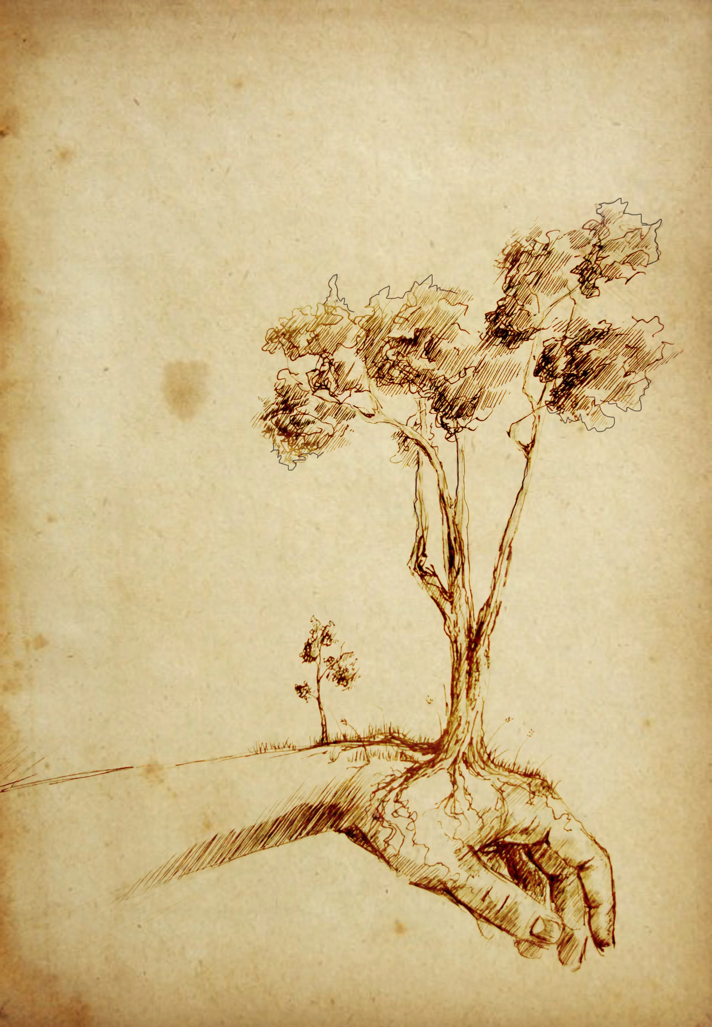 Hand and tree.jpg