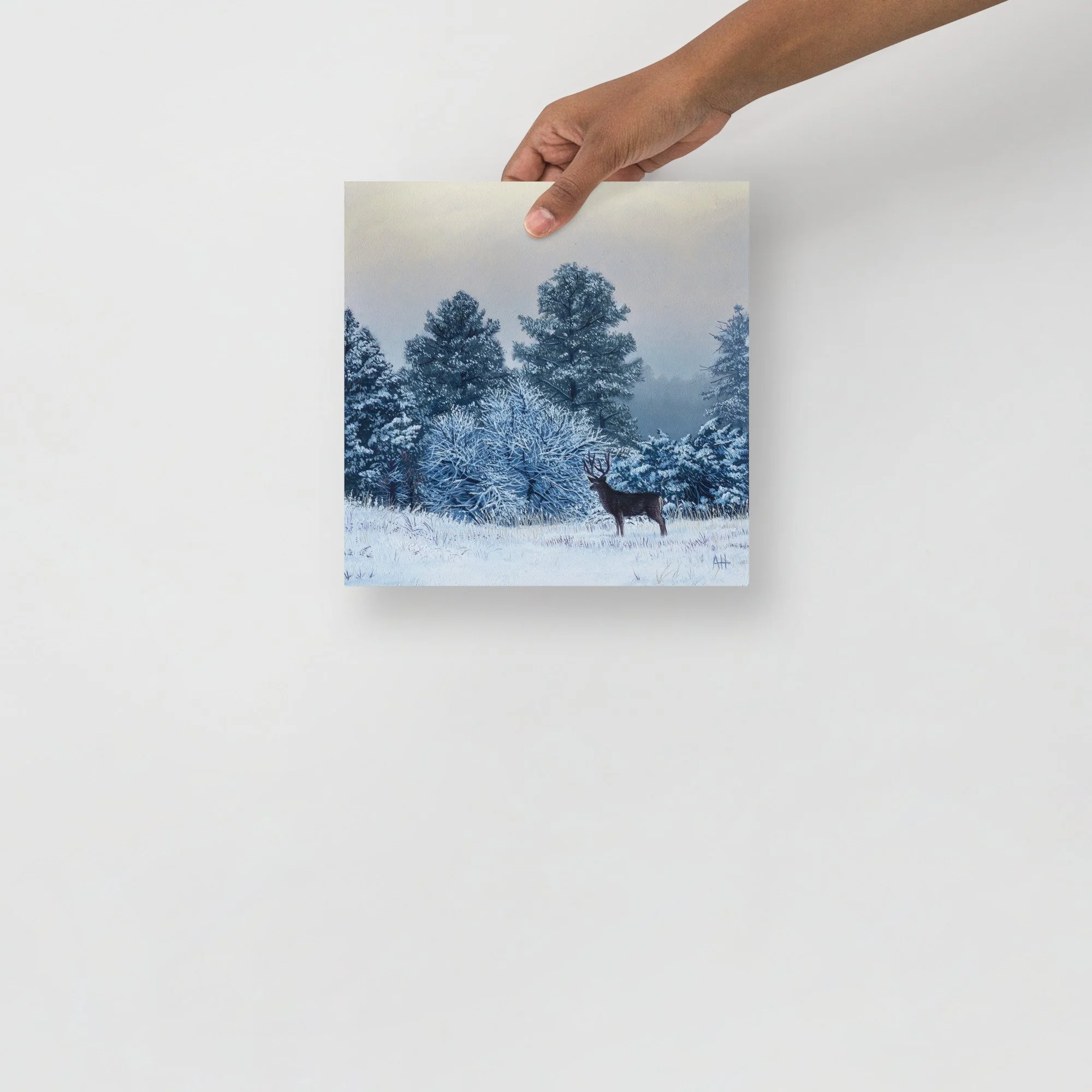premium-luster-photo-paper-poster-(in)-10x10-front-633a3ac3d10bc.jpg