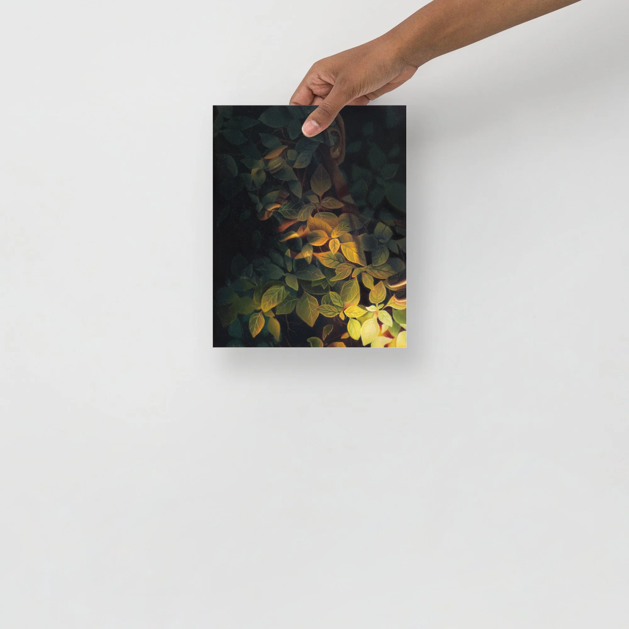 premium-luster-photo-paper-poster-(in)-8x10-front-6a2885a3a3129.jpg