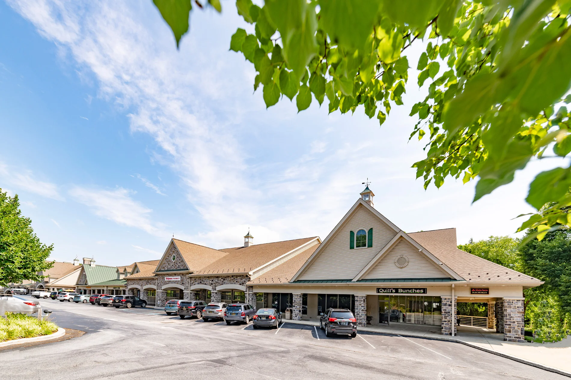 D85_6189.jpg
