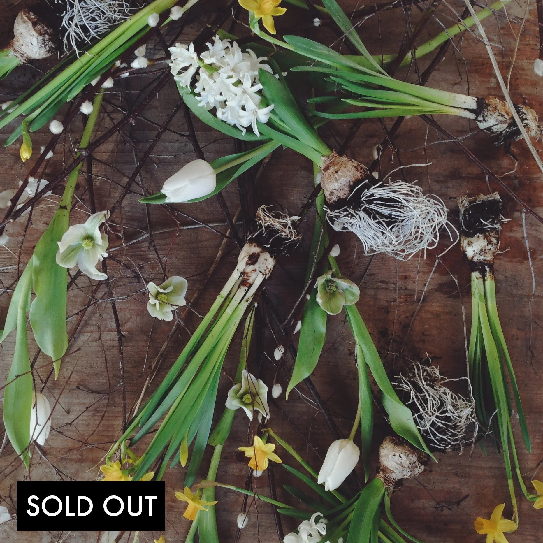 Community Class: Spring Wreaths