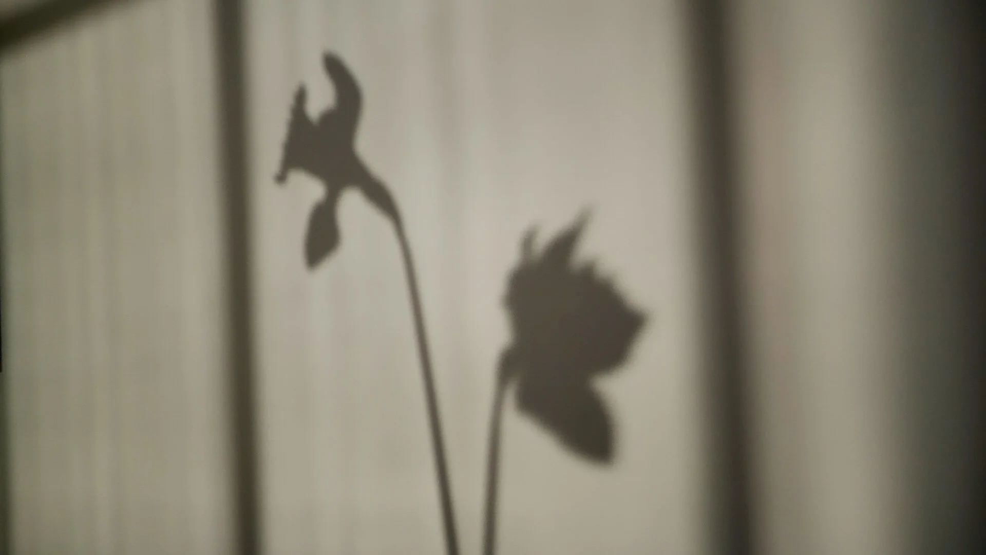 March