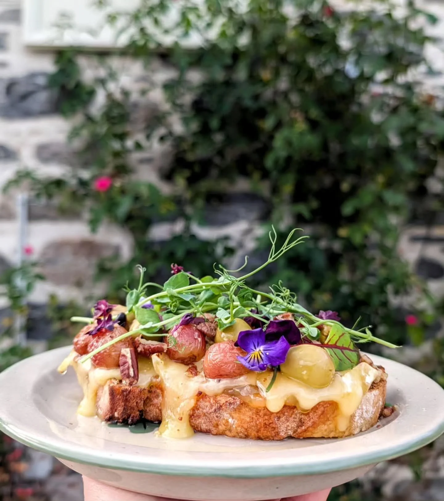 Well we are finally back to full steam ahead after a stormy weekend and no power! So after a wee delay this week. Here are this week's sourdoughs and they are delish of we do say so ourselfs!
Apple + Thyme jam, toasted brie, roasted balsamic grapes,