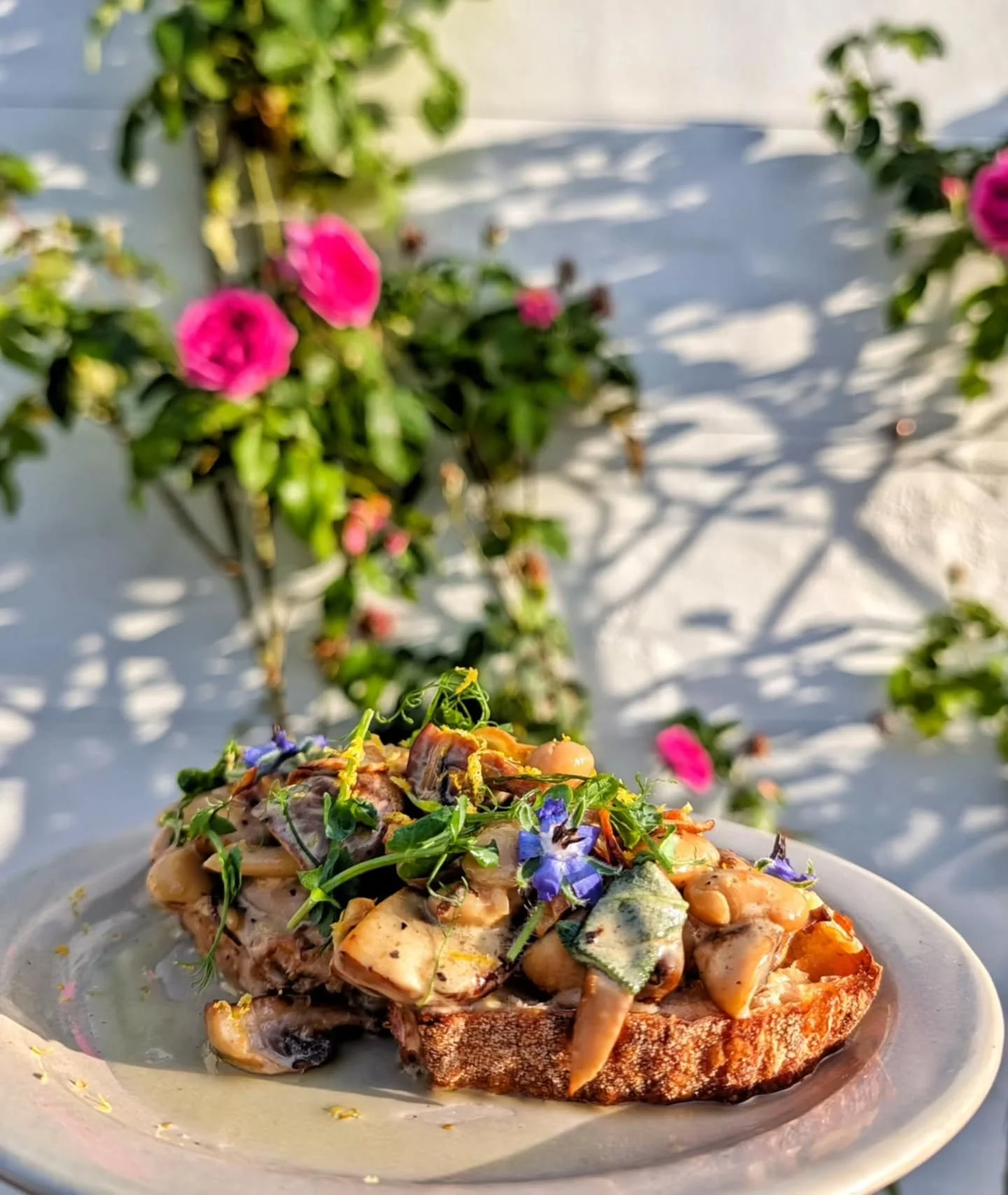 Better late than never but here are this week's sourdoughs! 
Cinnamon roasted sweet potato, fresh figs, ricotta, toasted hazelnuts and Pickled carrots 🥕 
Creamy garlic mushrooms, butterbeans, sage, crispy garlic and lemon oil 🍄‍🟫 VG
As the
