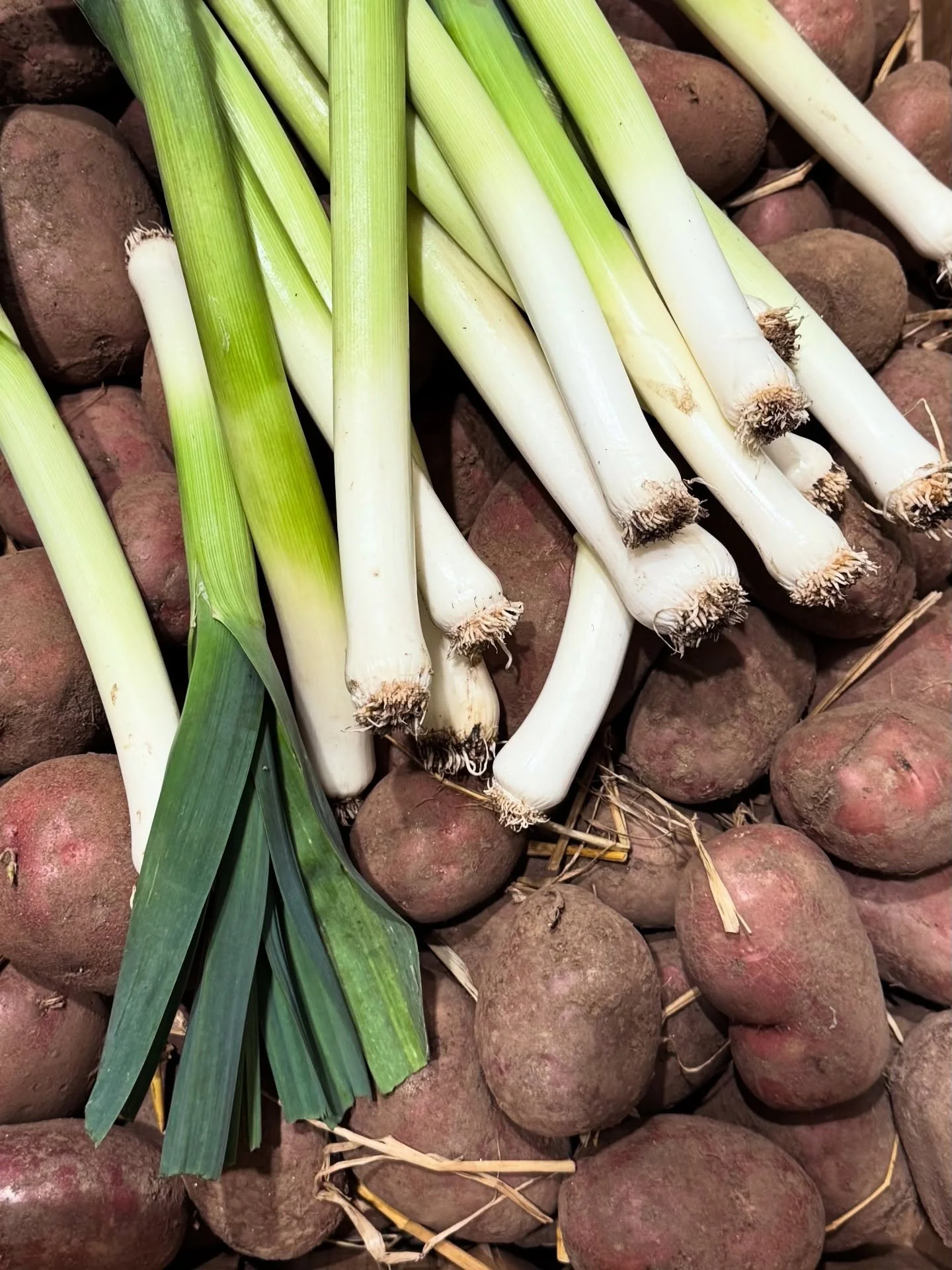 Did you know this building used to be a potato shed !? 

It&rsquo;s important to us that our ingredients are seasonal and locally sourced&hellip; these potatoes are soon to be prepared for our Burns Supper
