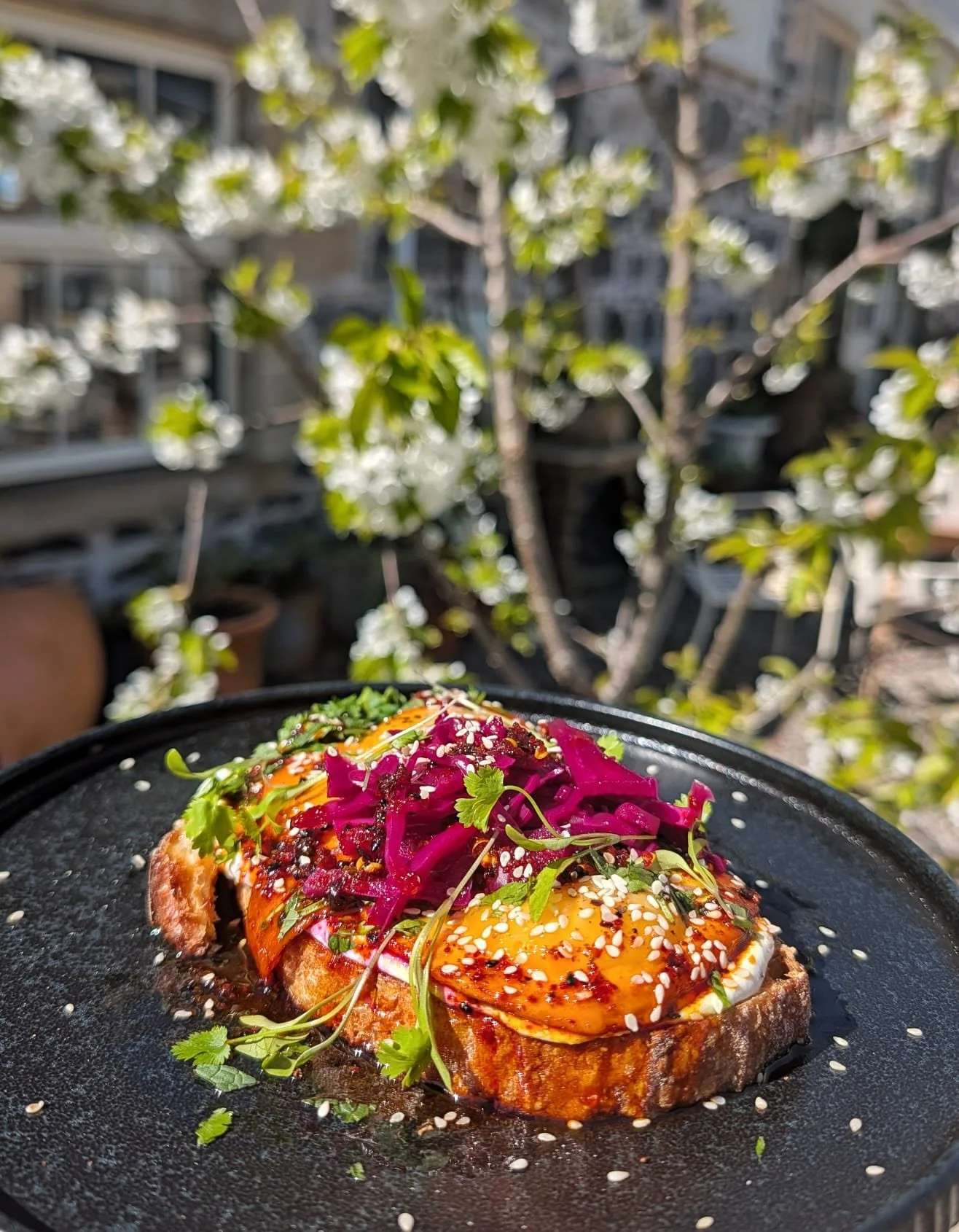 Back by popular demand this week
.
.
Wild garlic roast new potatoes, butterbean hummus, pickled radish, charred spring onions and maple smoked seeds

Turmeric fried eggs, creamy ricotta, chilli crisp oil, pickled red cabbage, coriander, mint and sesa