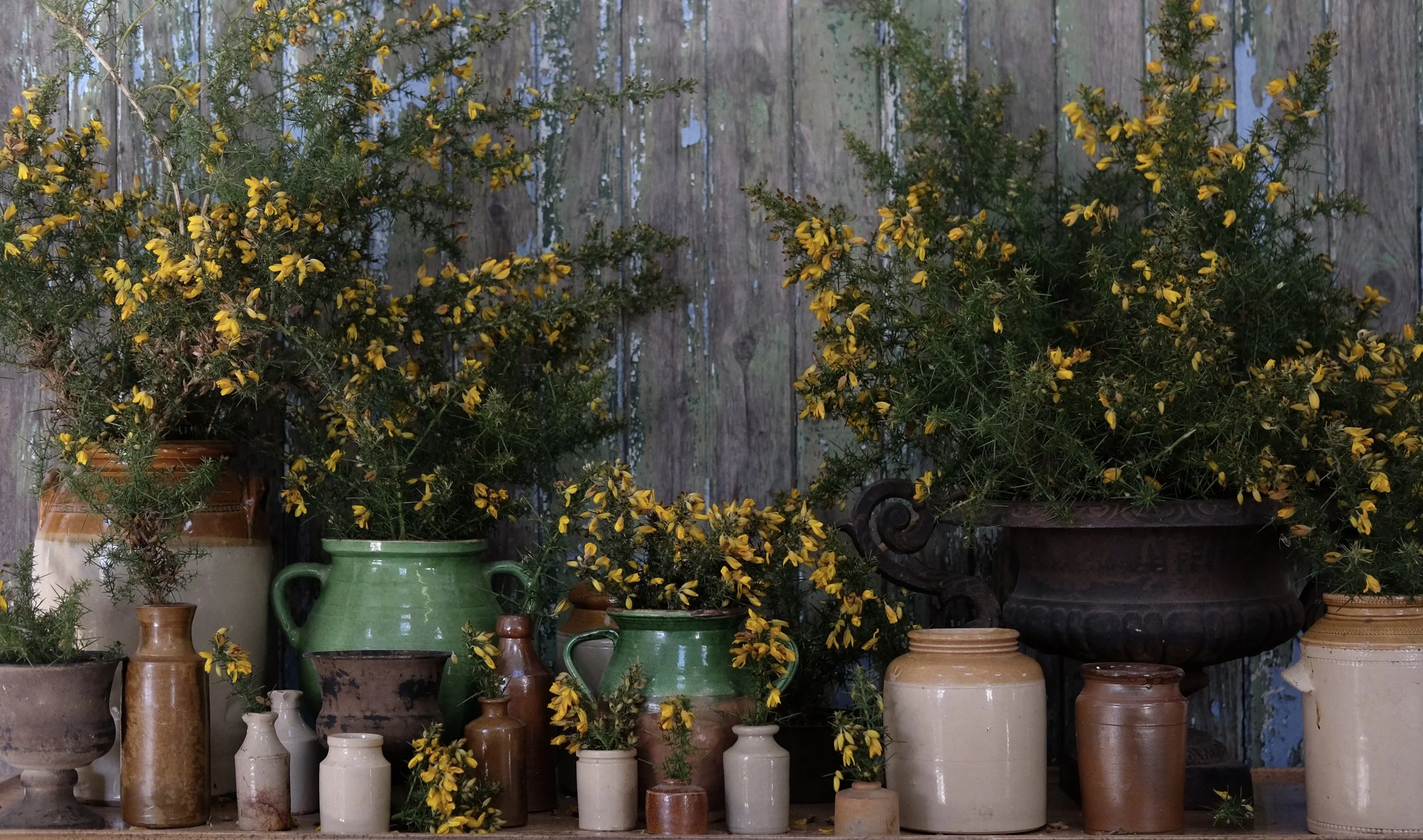 Scottish Highland Wedding Flowers from a Highland Florist