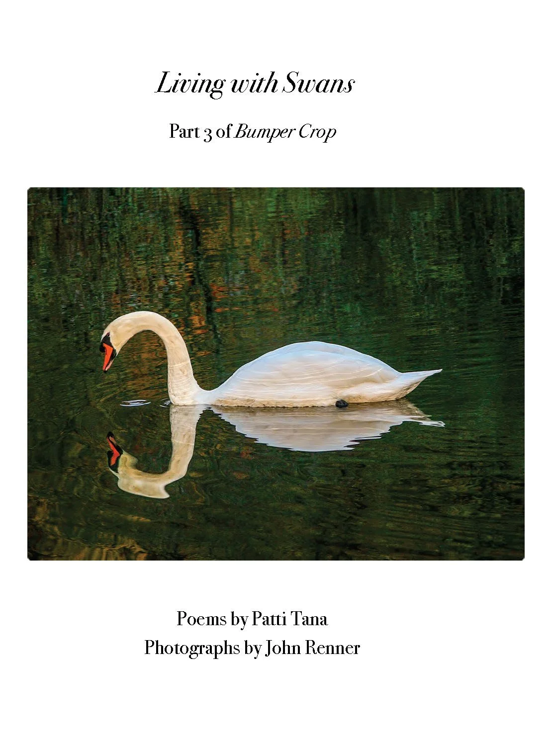 FINAL3LivingSwans_3_Reduced_Page_01.jpg