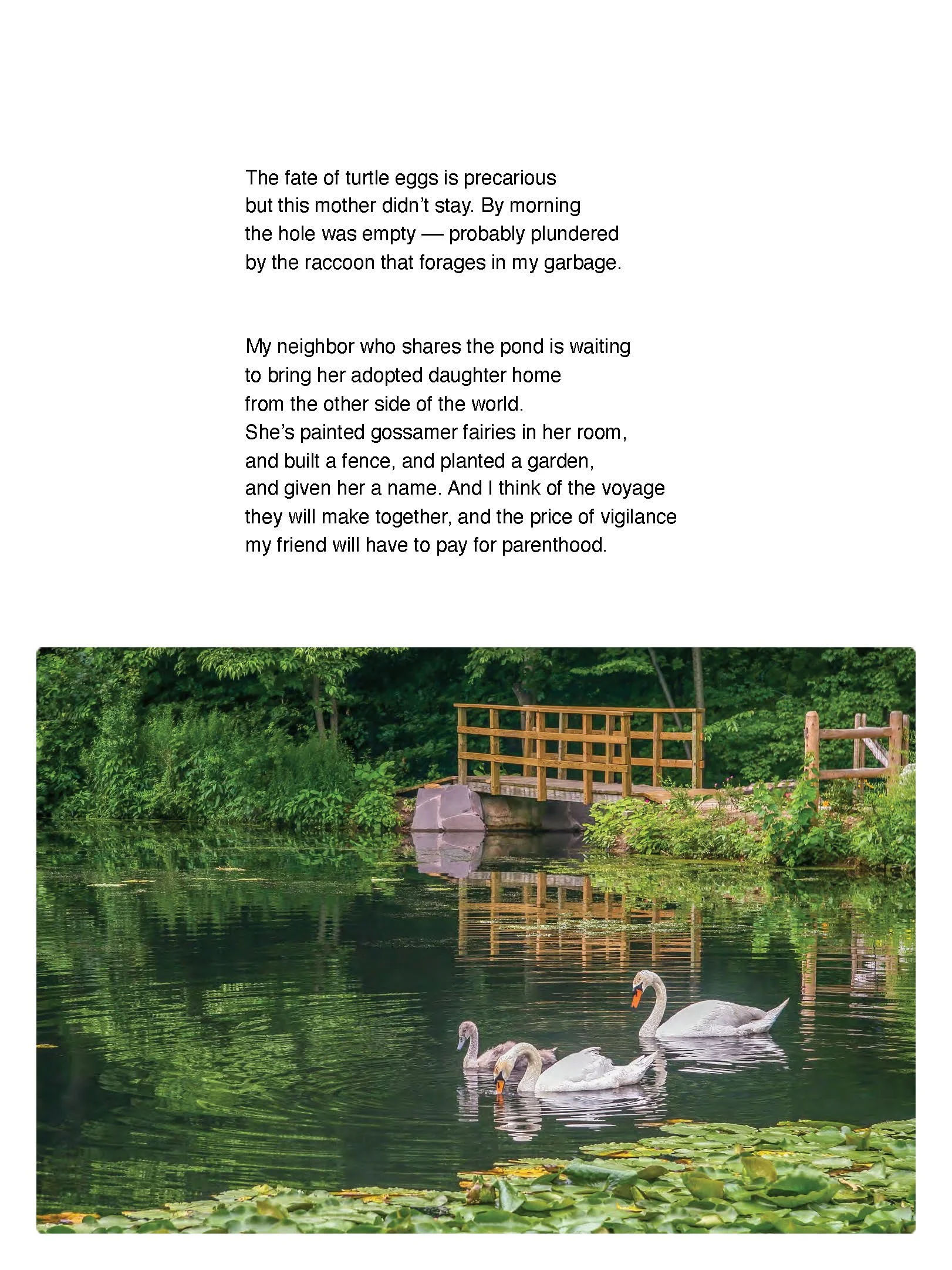 FINAL3LivingSwans_3_Reduced_Page_16.jpg