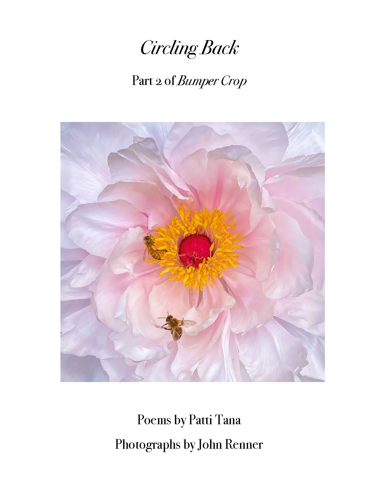 FINAL2CirclingBack_3_Reduced_Page_01.jpg