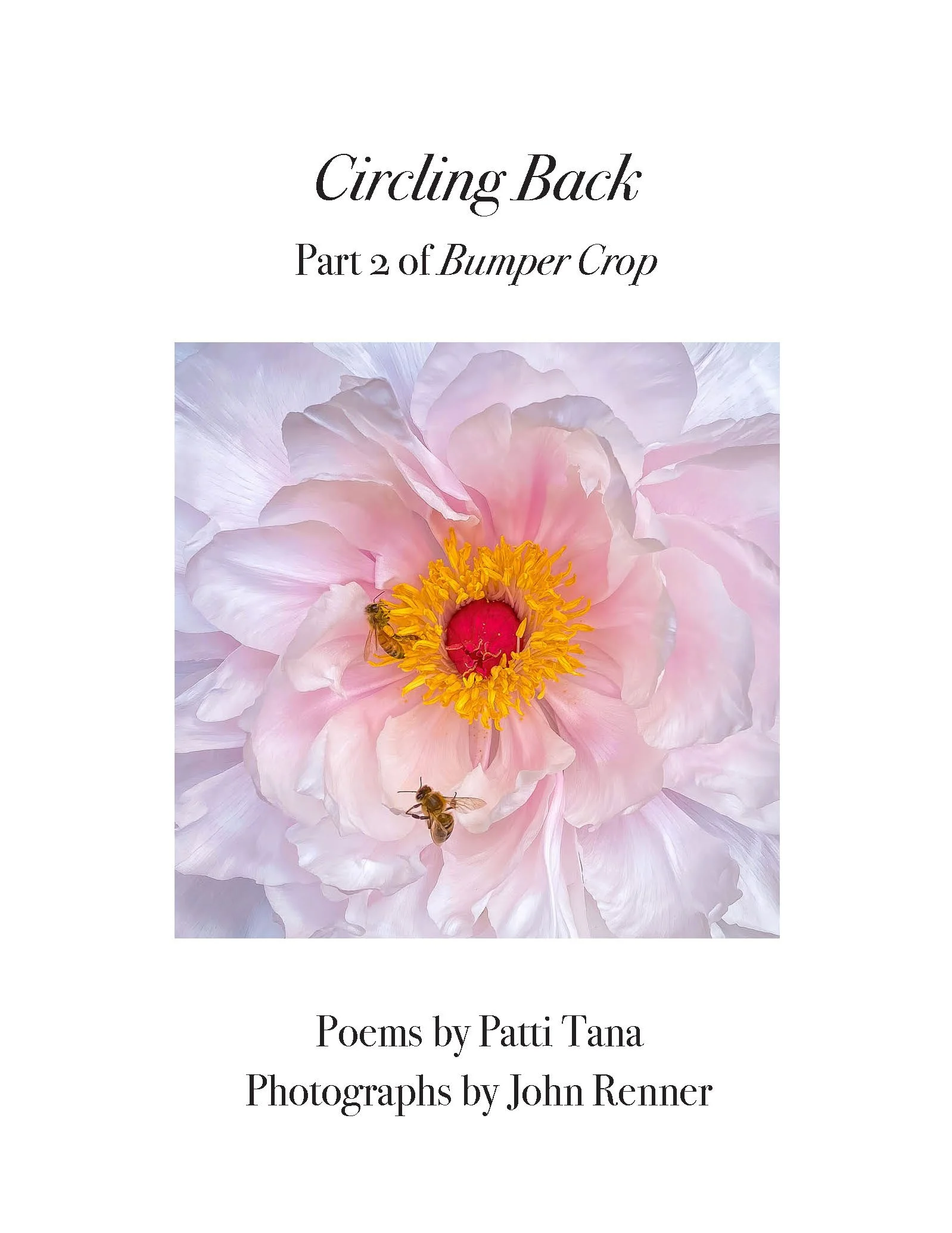 BUMPER CROP — John Renner Photography