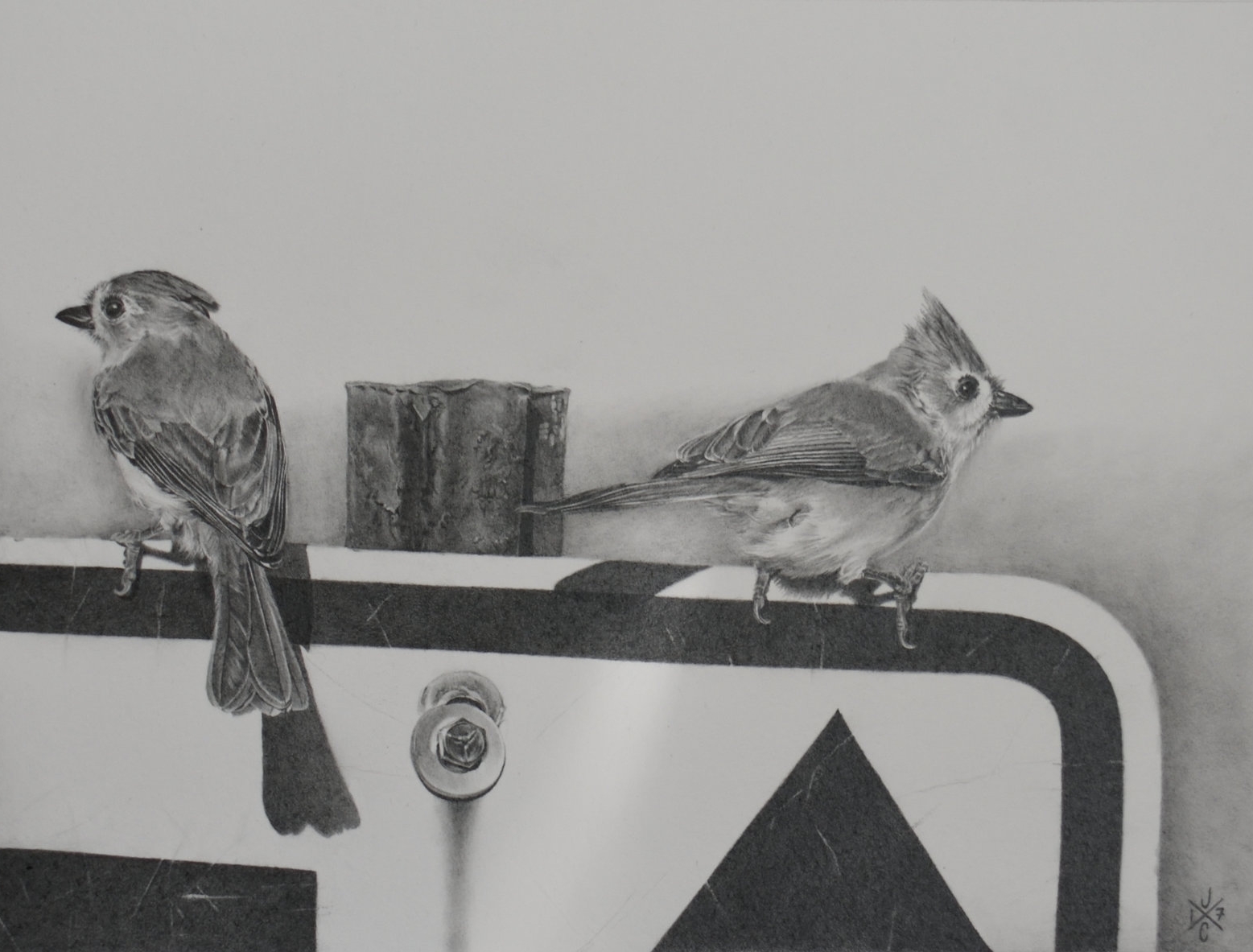 Tufted Titmice #1