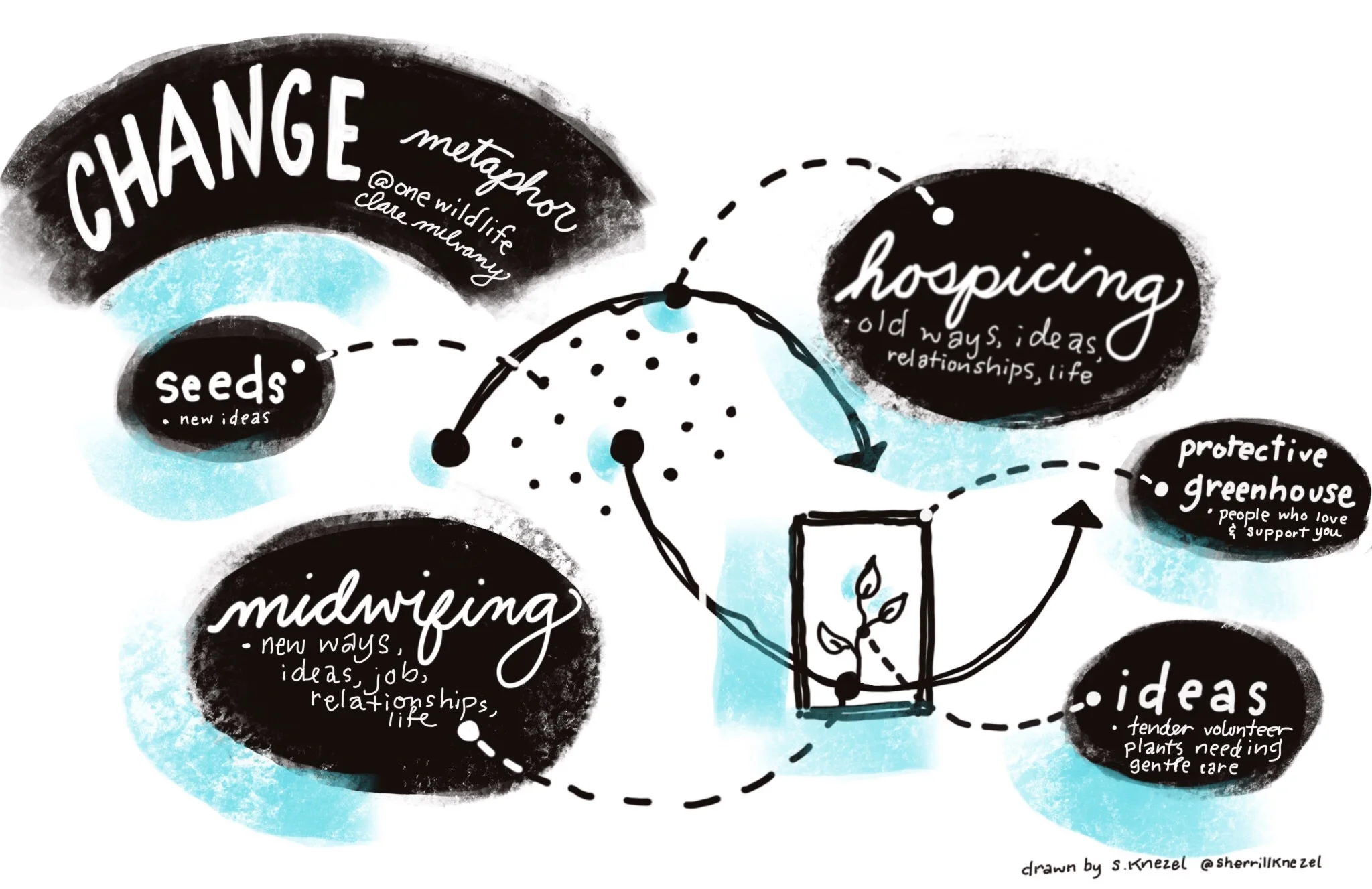 Change visual based on the work of Meg Wheatley & Clare Mulvaney