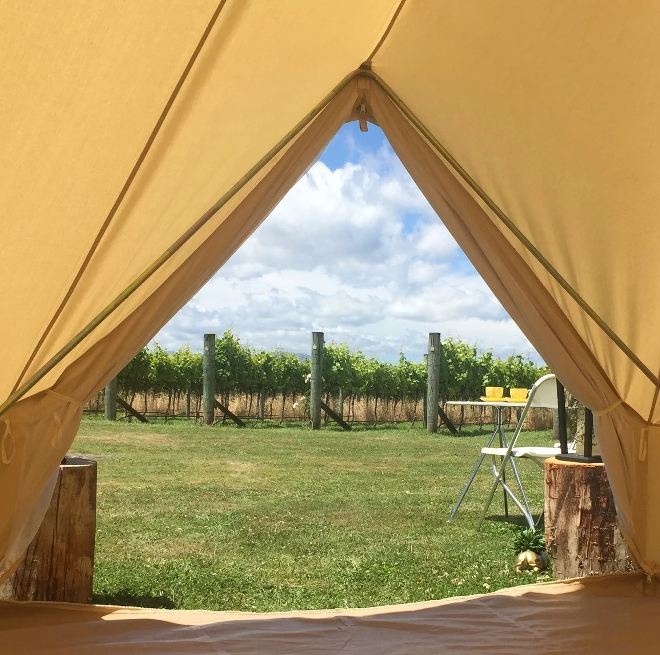 Room with a view!