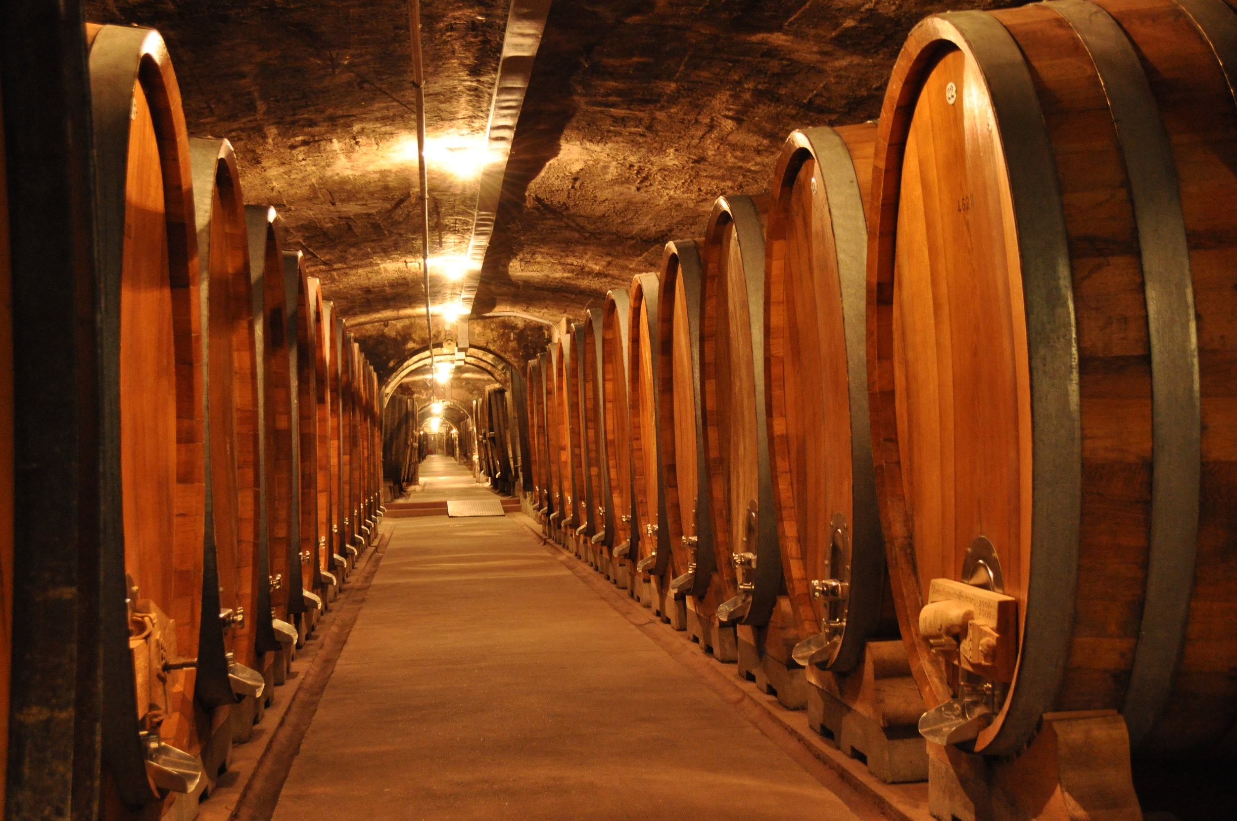 wine cellar.JPG