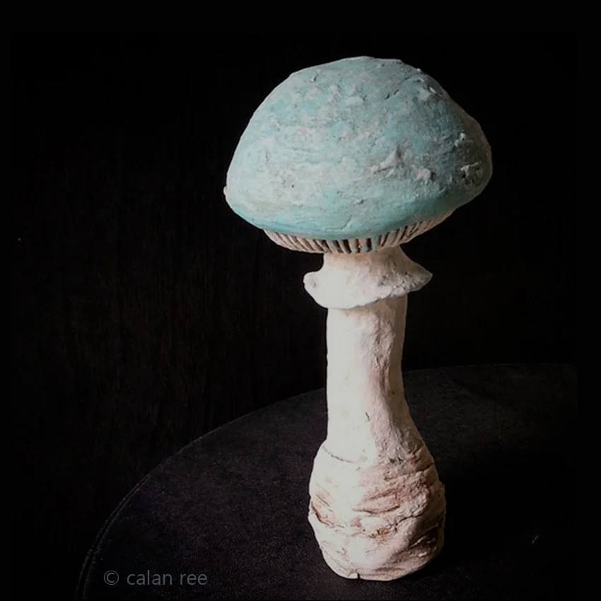 ceramic_mushroom2_calanree.jpg