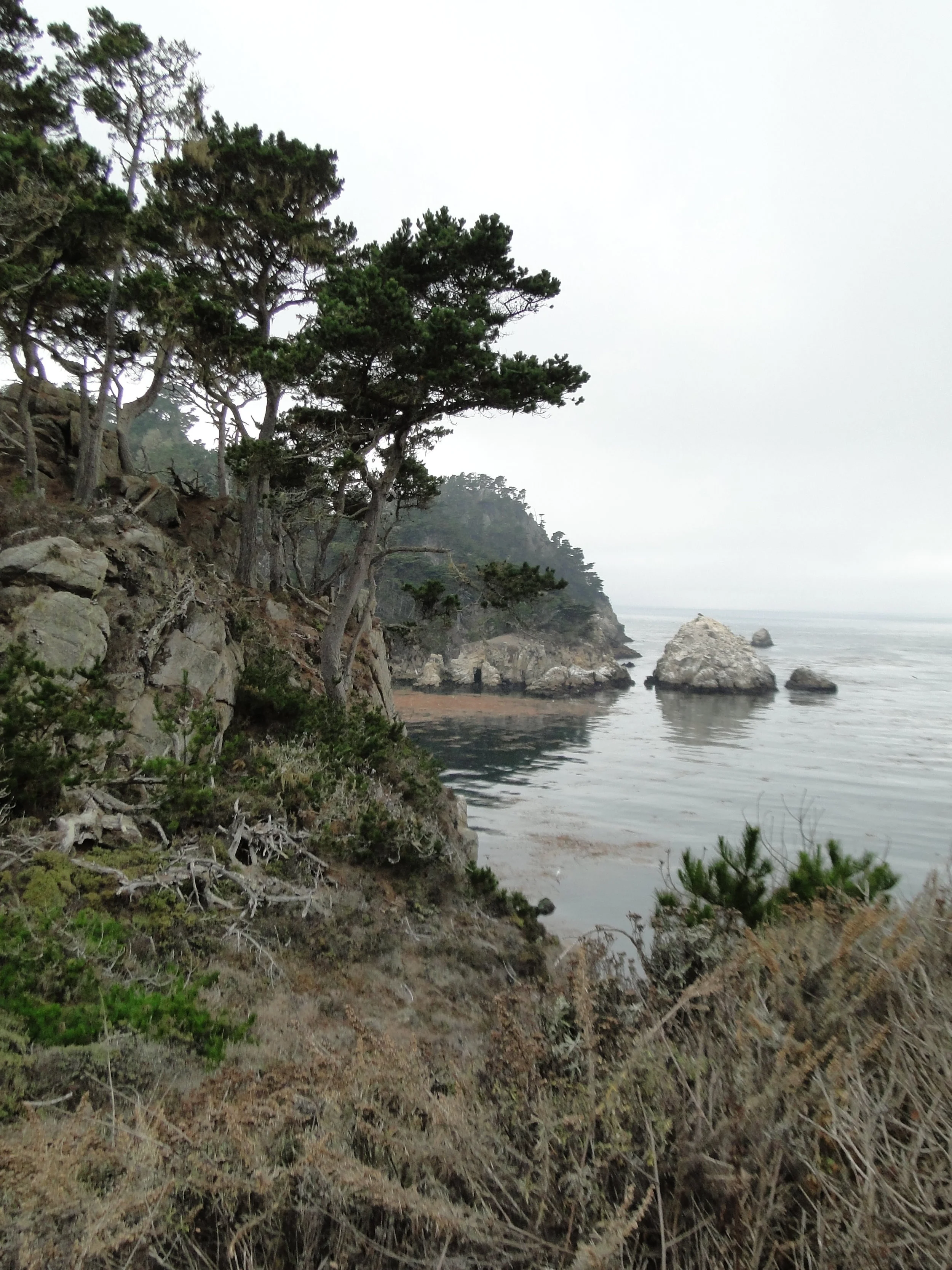DSC03477.JPG