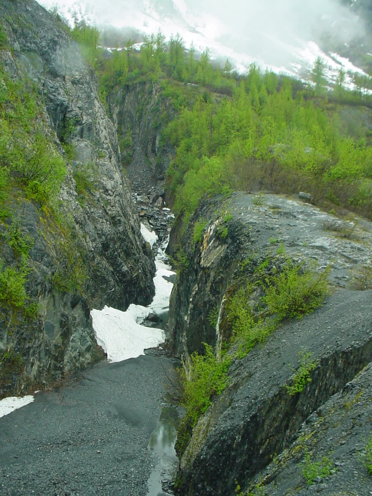 DSC01210.JPG