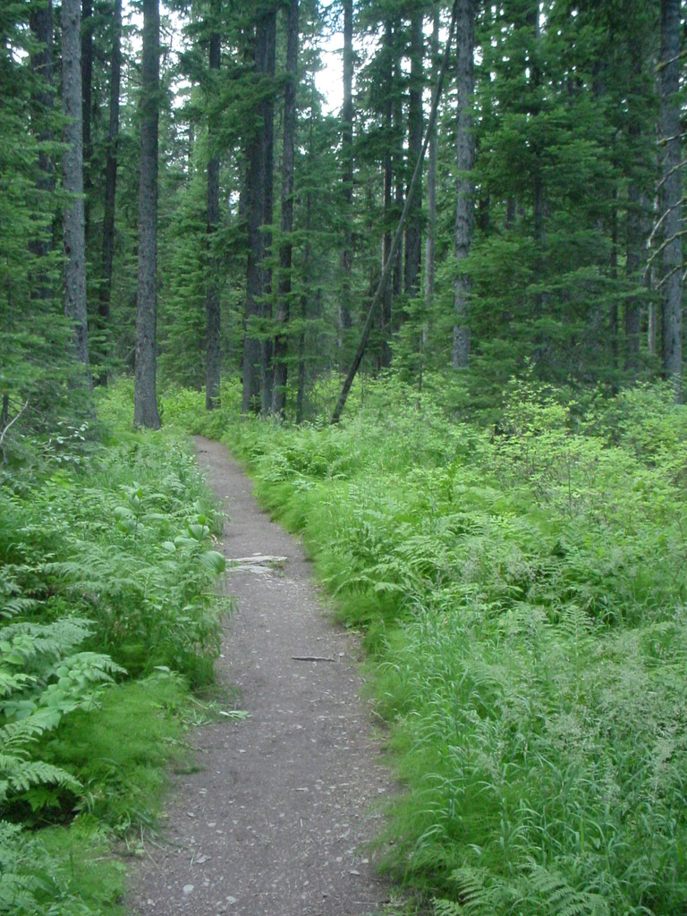 image80.JPG