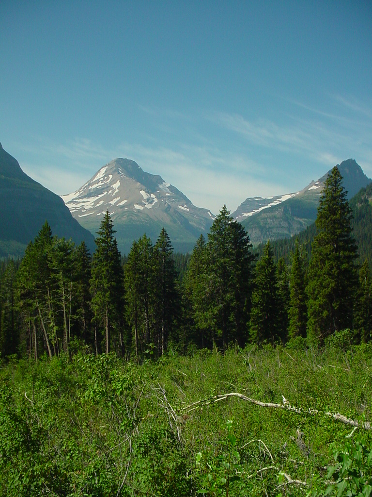 image89.JPG