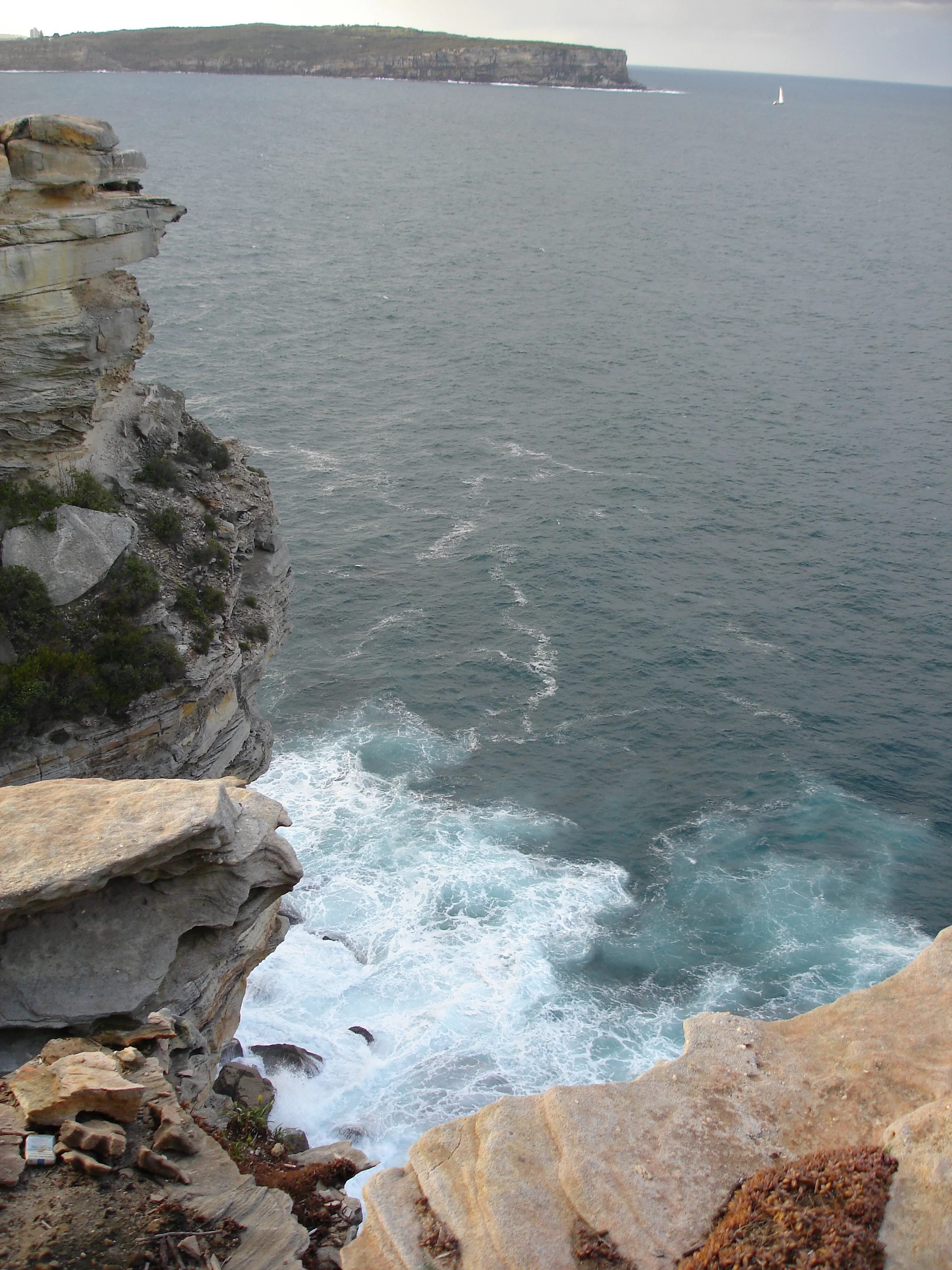 DSC00088.JPG