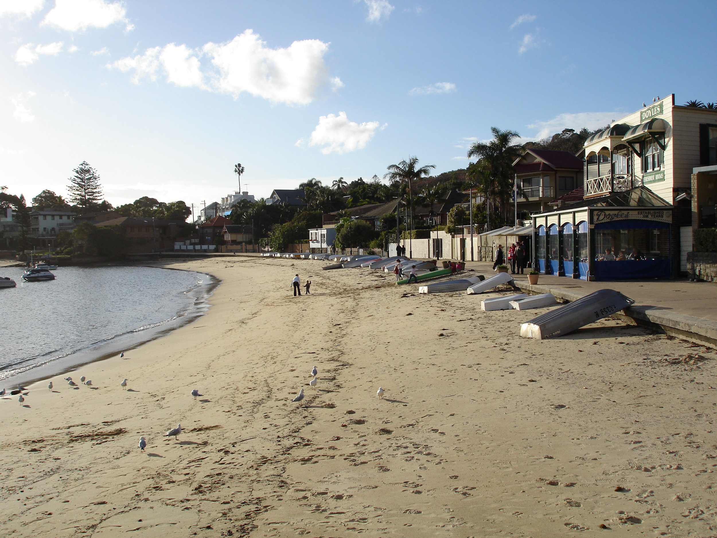 DSC00082.JPG