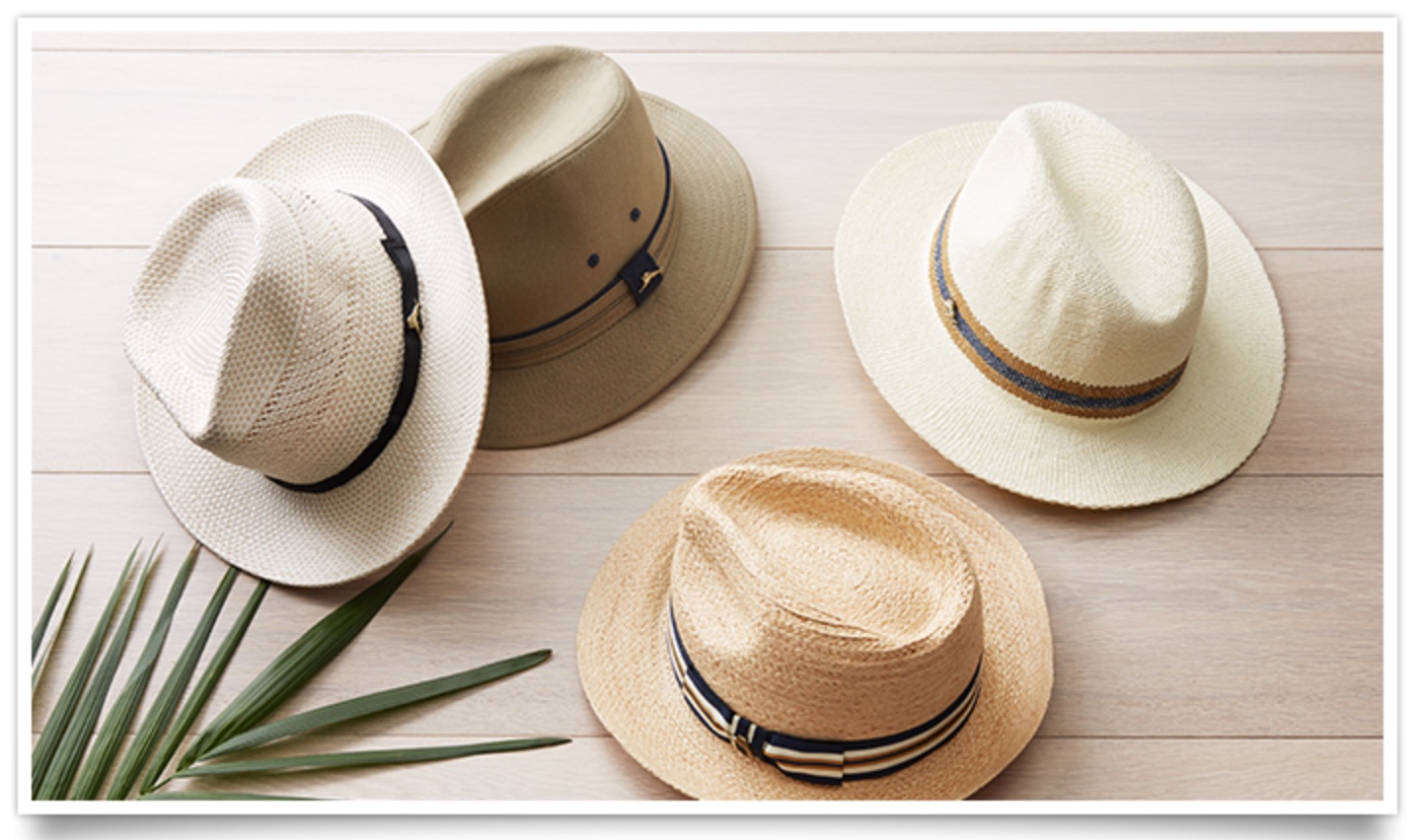 Tommy Bahama – Panama hats