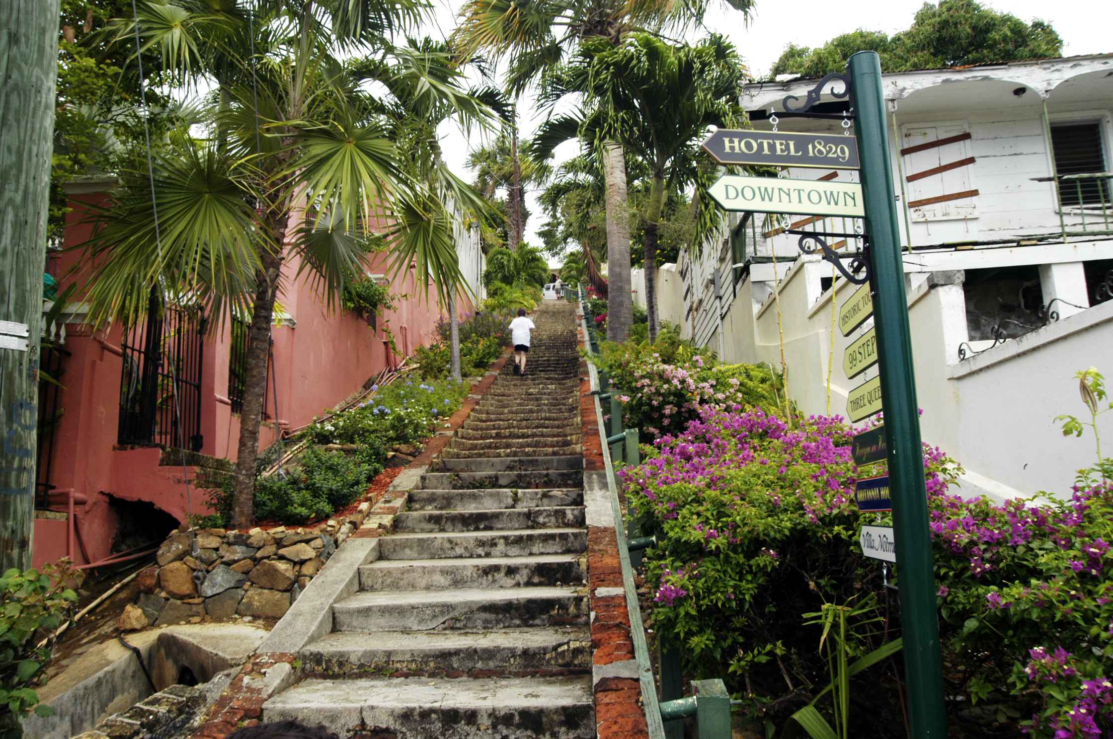 3. 99 Steps