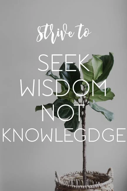 Seek Wisdom, Not Knowledge
