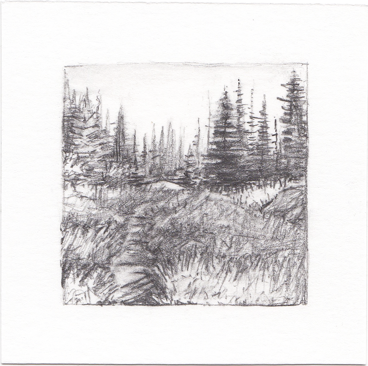 #4 Catherine Pass, Albion Basin, Utah | 3x3 | graphite