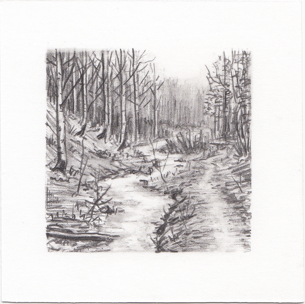 #12 Mill D North Fork, Big Cottonwood Canyon, Utah | 3x3 | graphite