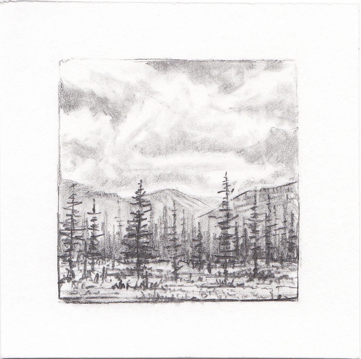 #16 Yosemite National Park, California | 3x3 | graphite