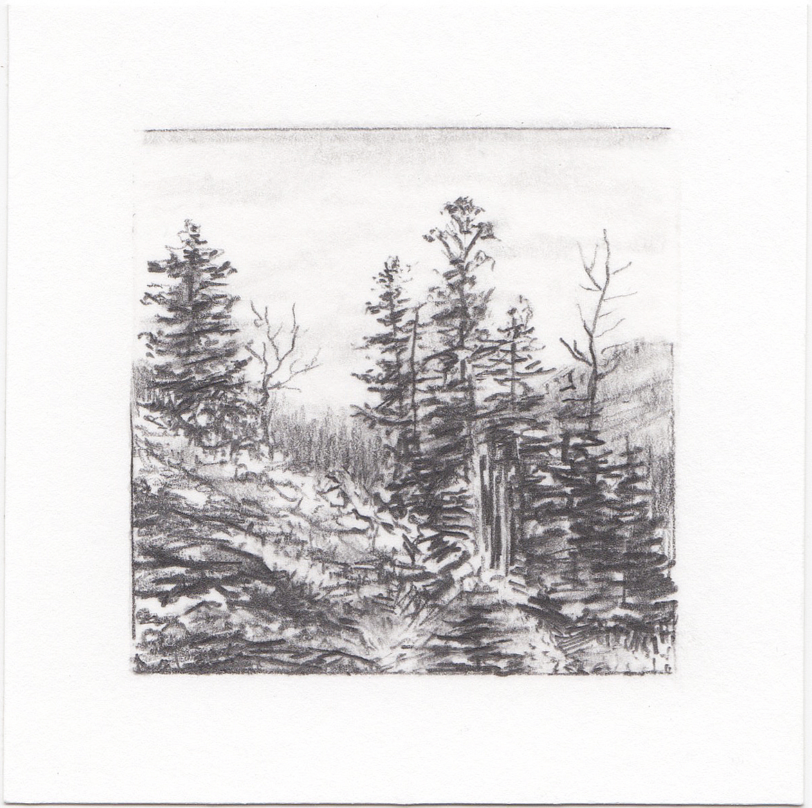 #17 Mill D South Fork, Big Cottonwood Canyon, Utah | 3x3 | graphite
