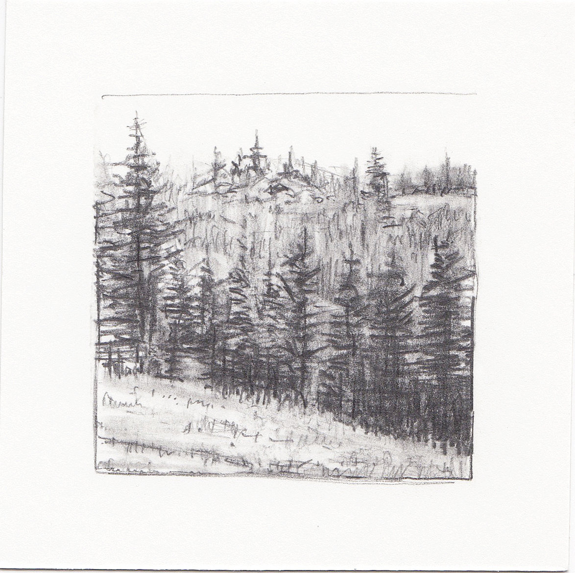 #40 Desolation Lake Trail, Wasatch Mountains, Utah | 3x3 | graphite